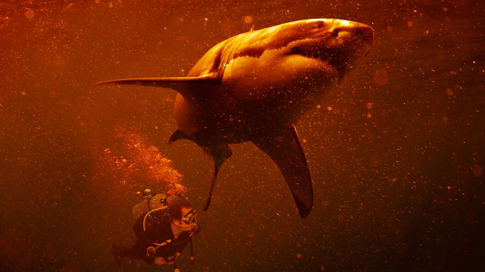 Sharkcano: Hawaii background