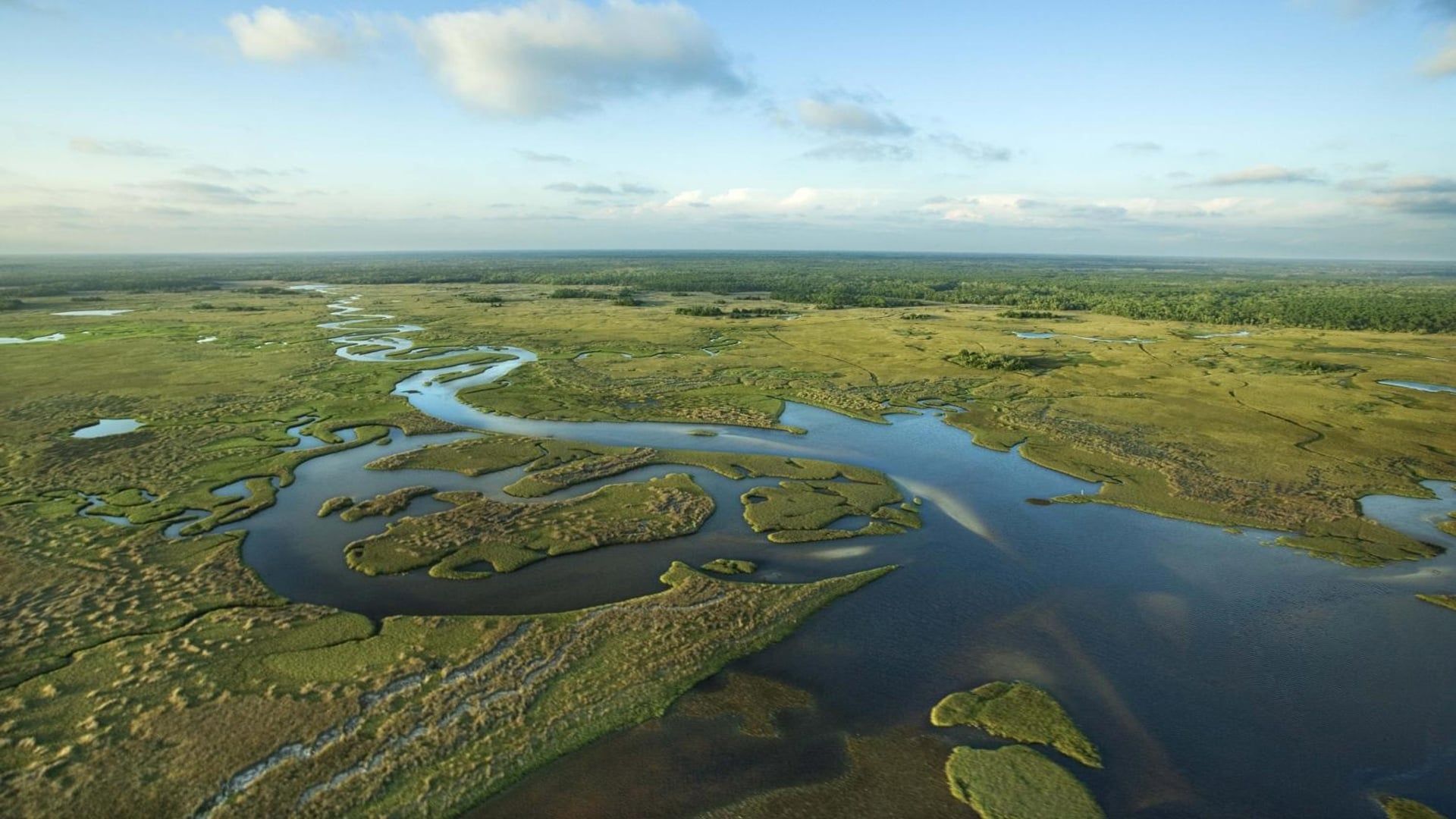 National Parks Exploration Series: The Everglades - A Subtropical Paradise background