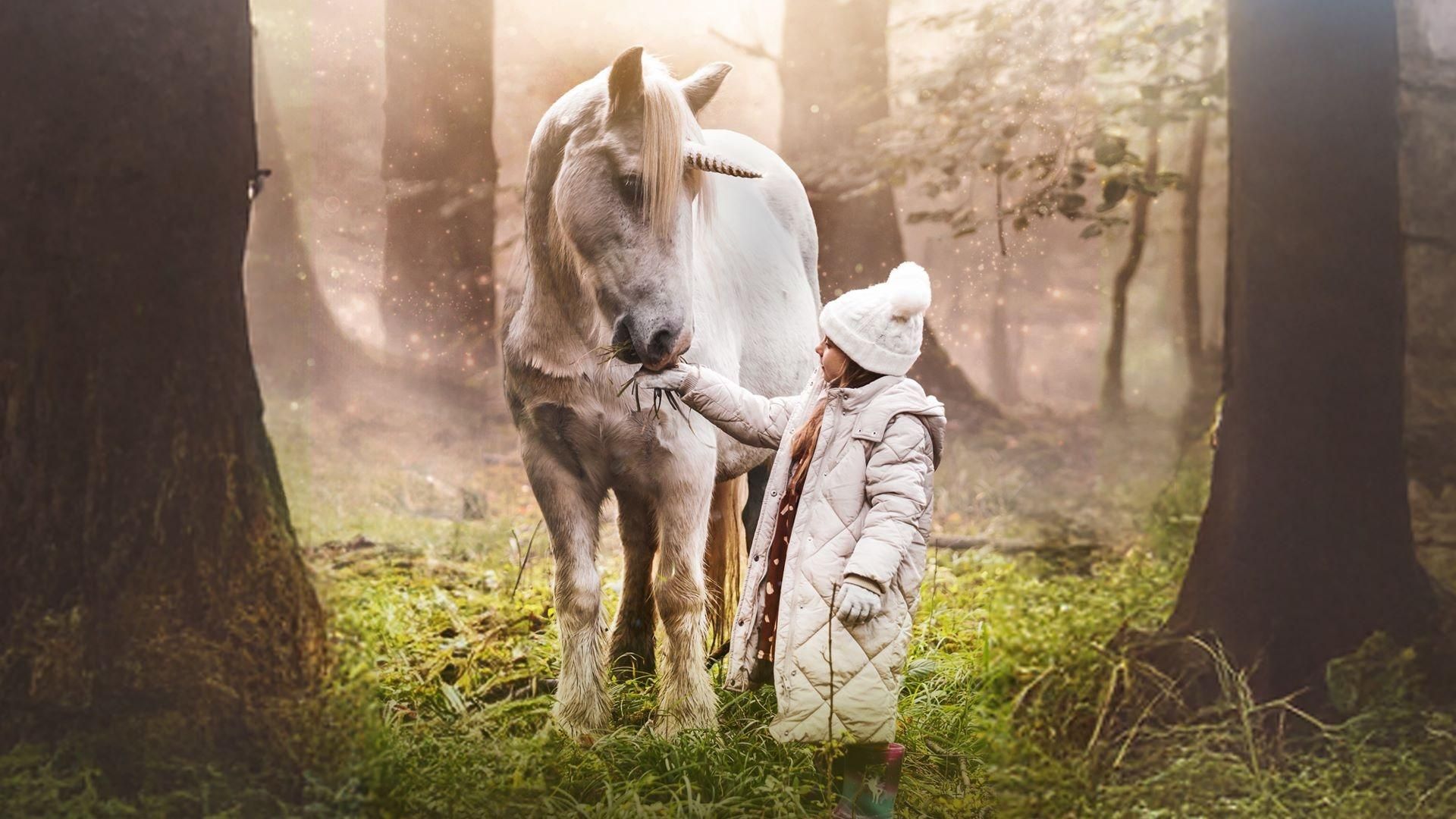 Tale of the Forest Unicorn background