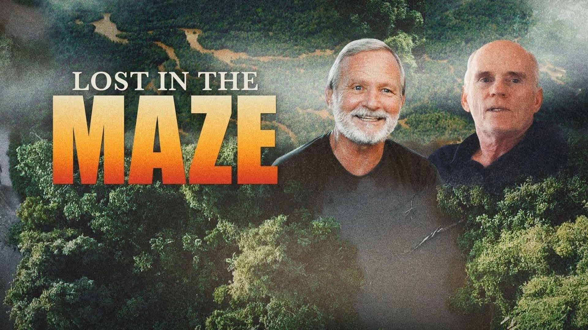 Lost in the Maze background