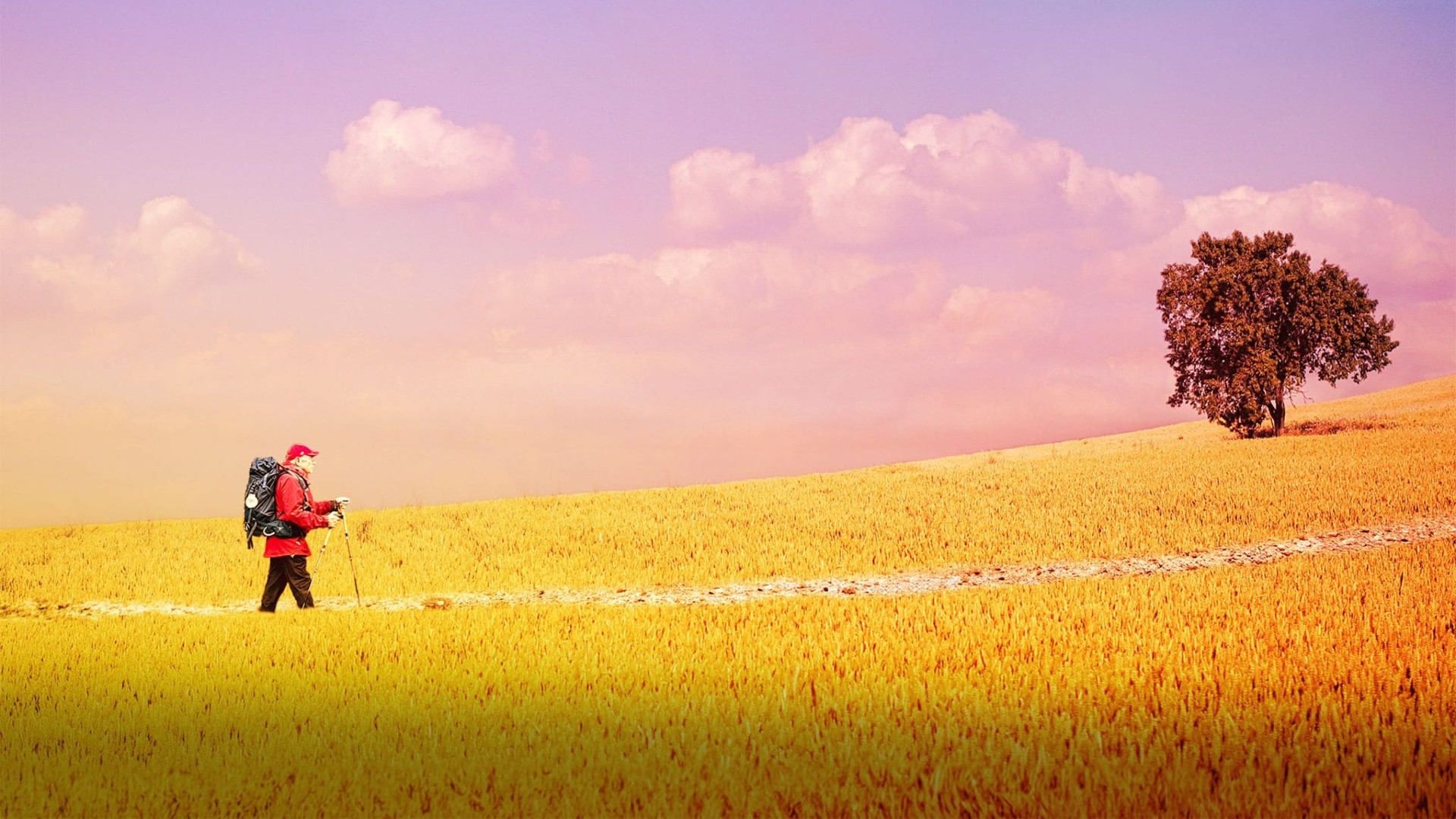 The Way, My Way background