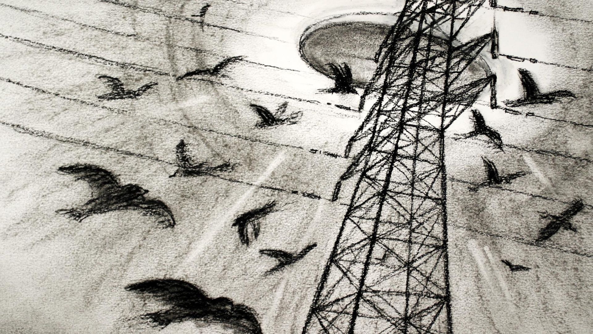 Westall '66: A Suburban UFO Mystery background