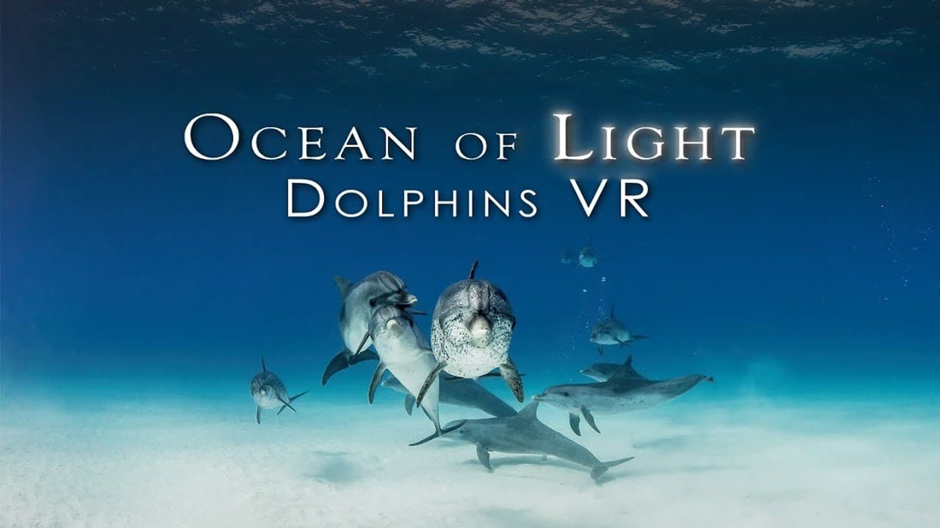 Ocean of Light - Dolphins VR background