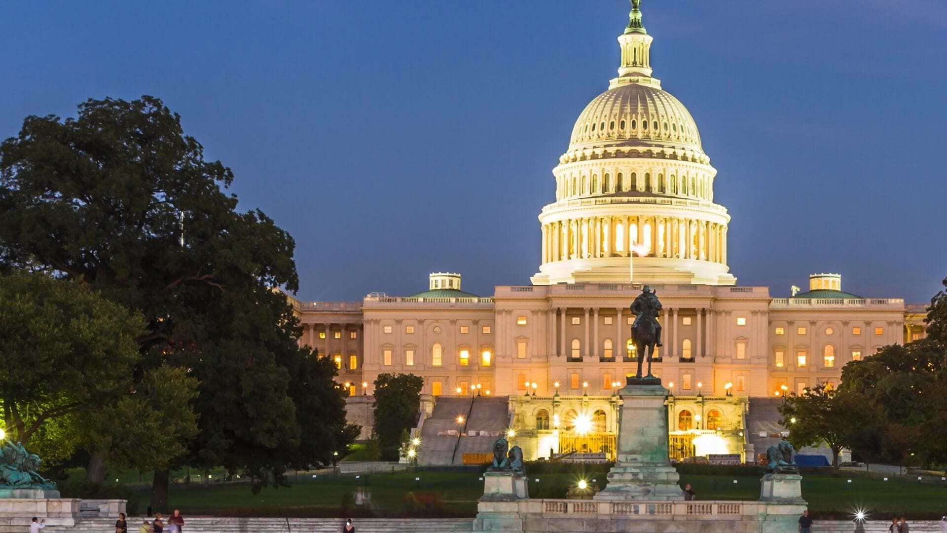 A Citizen's Guide to Preserving Democracy background