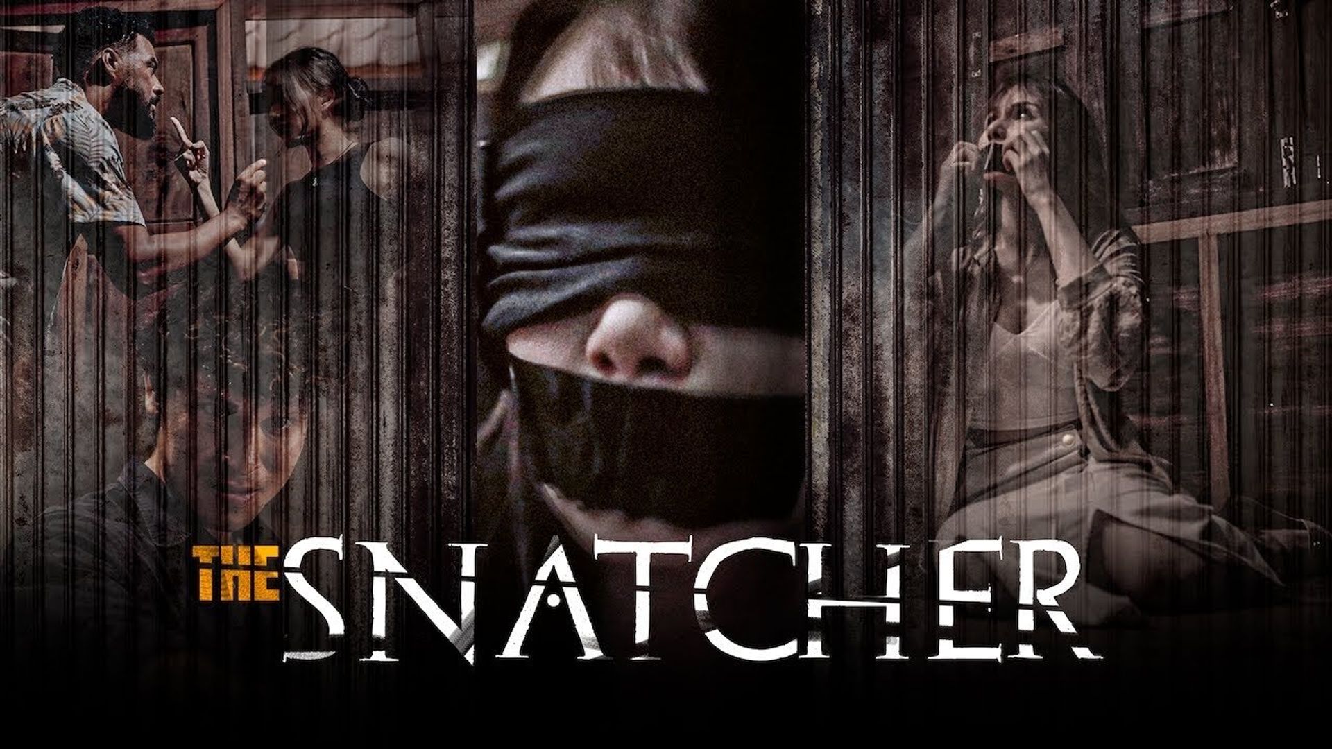 The Snatcher background