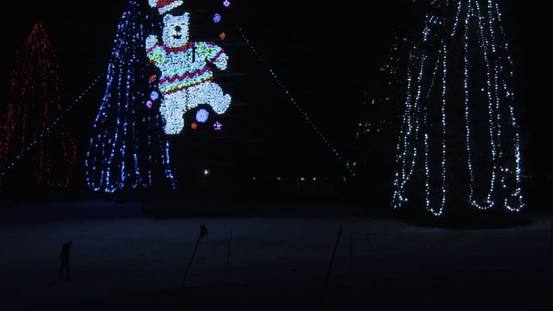 The Elephant's Present background