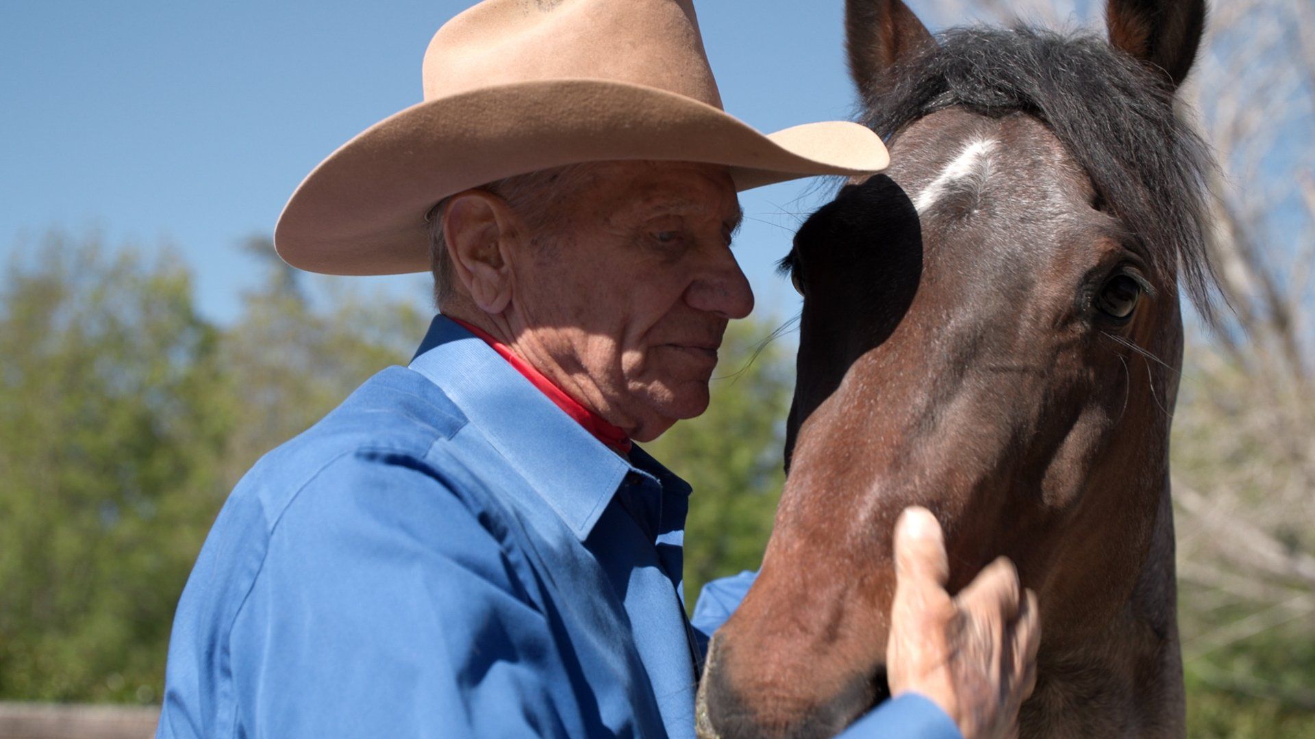 The Cowboy and the Queen background