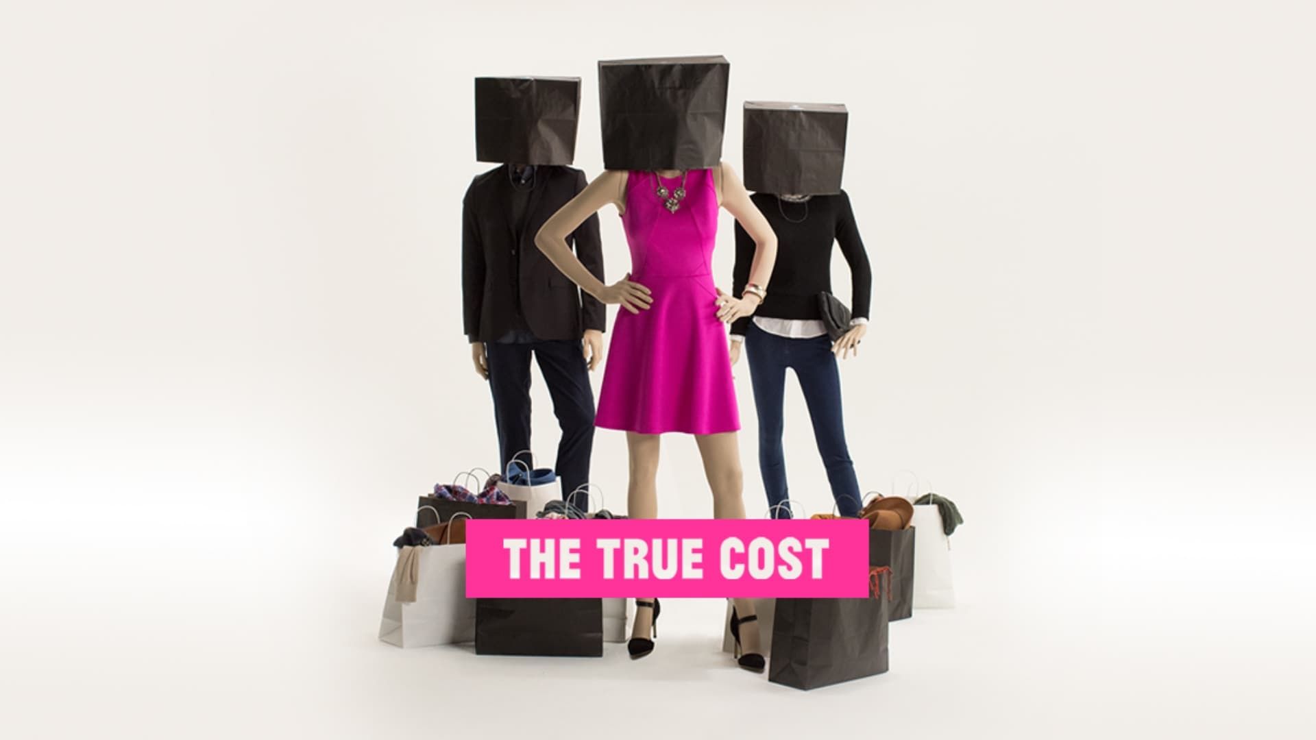 The True Cost background