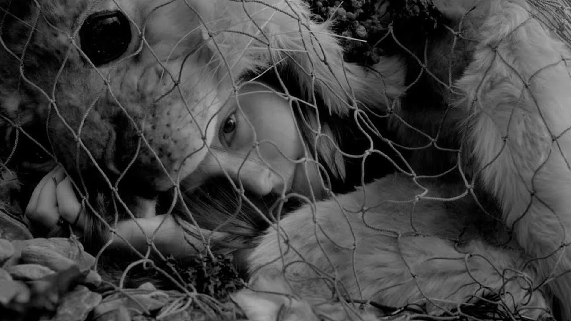 Bedlamer background