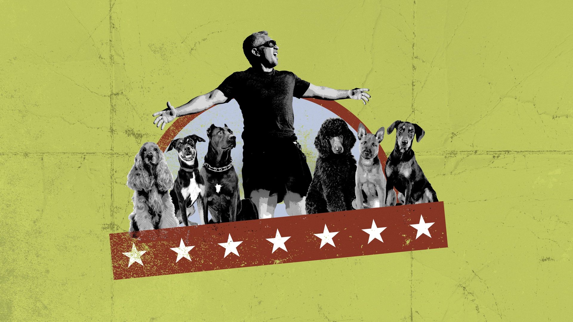 Cesar Millan: The Real Story background