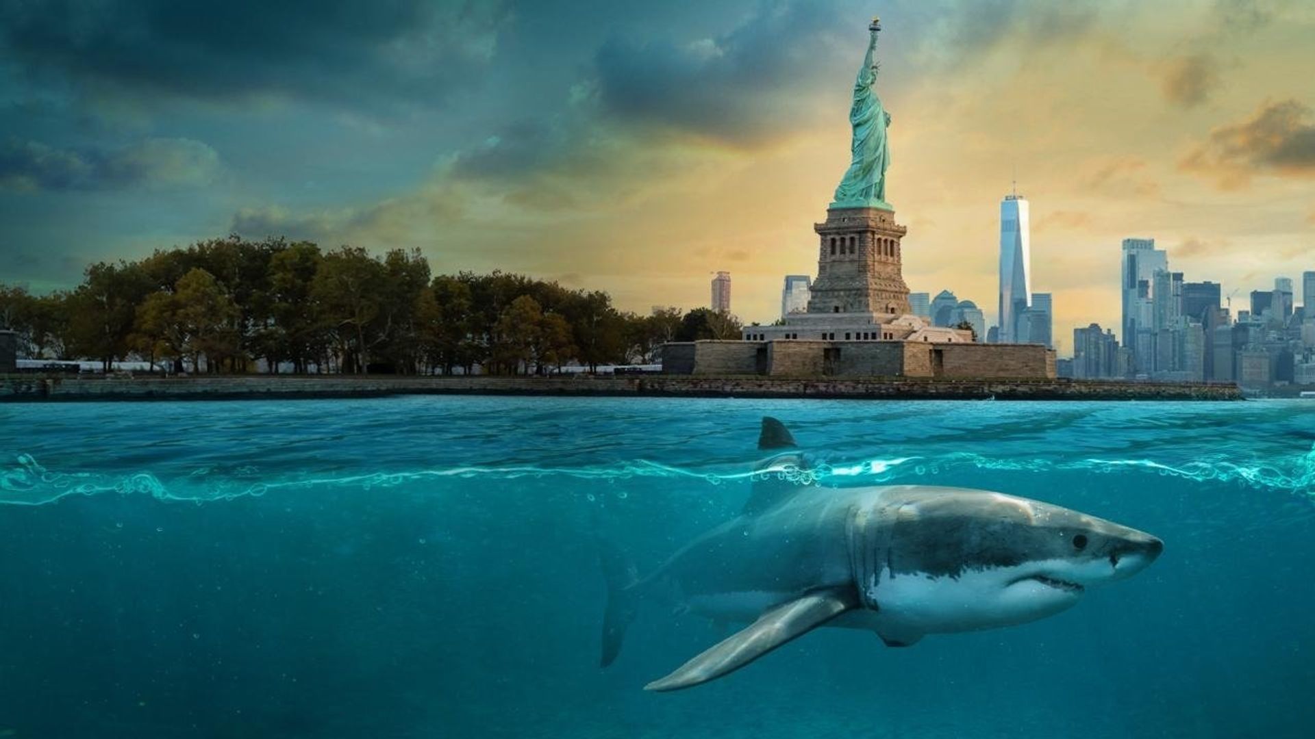 Baby Sharks in the City background