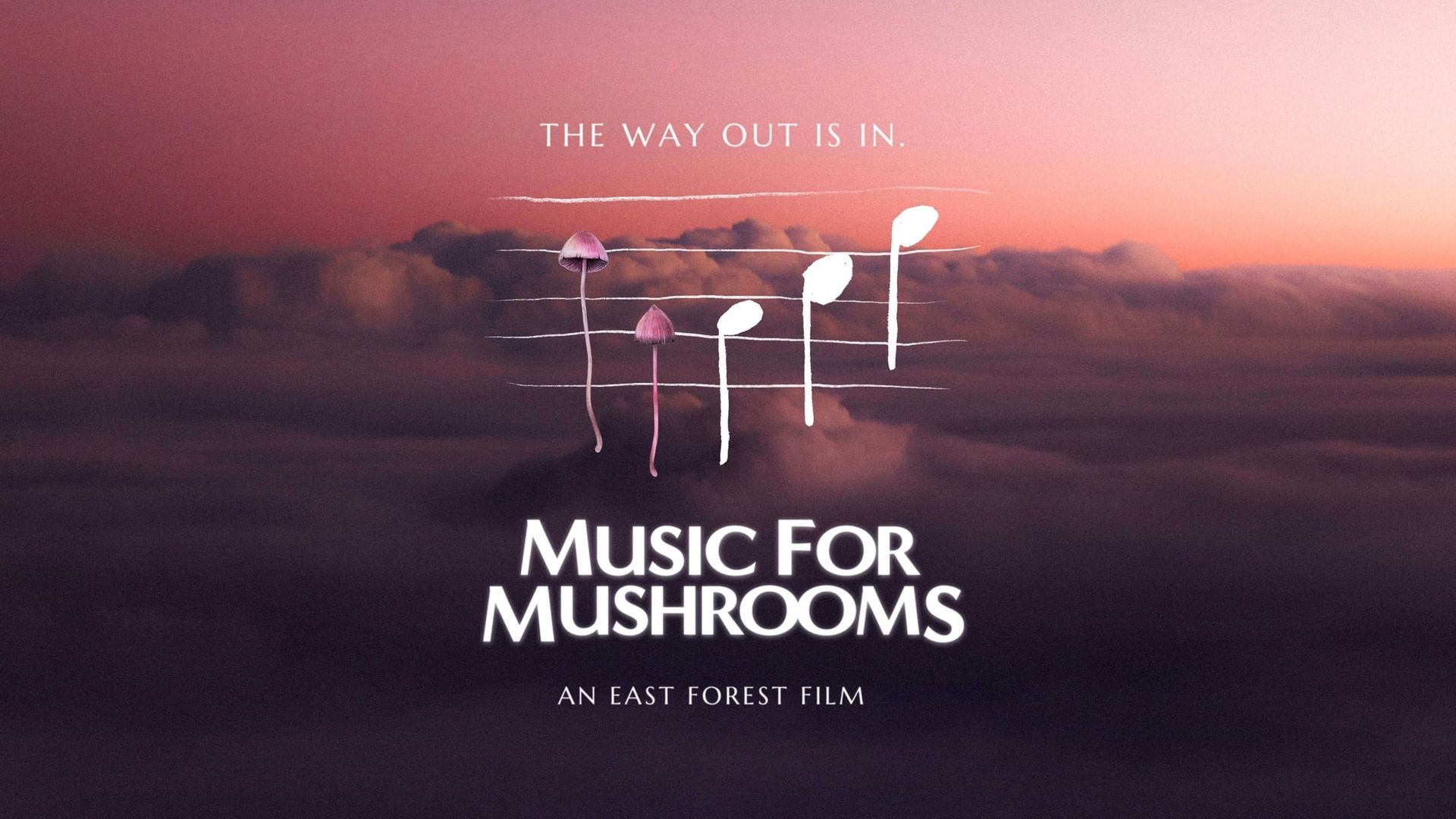 Music for Mushrooms background