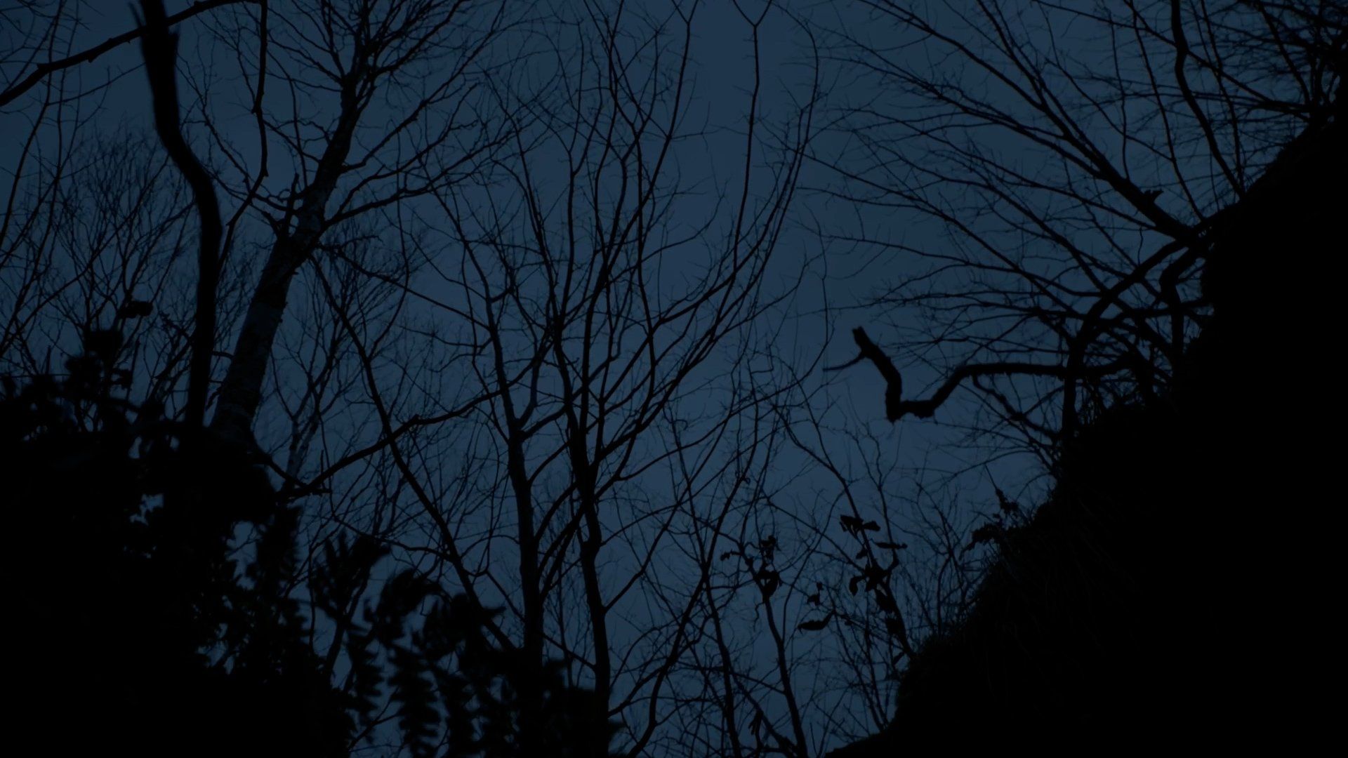 Here Lies Daniel background