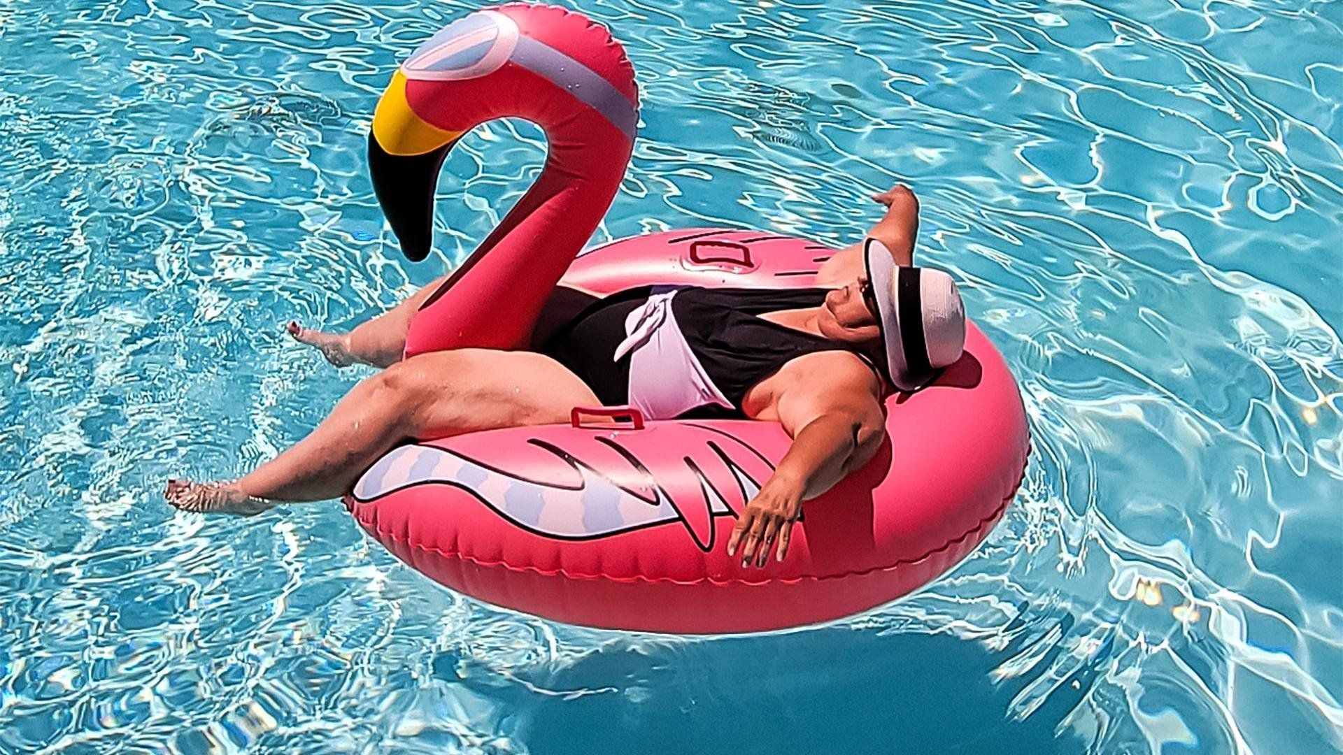 The Flamingo background