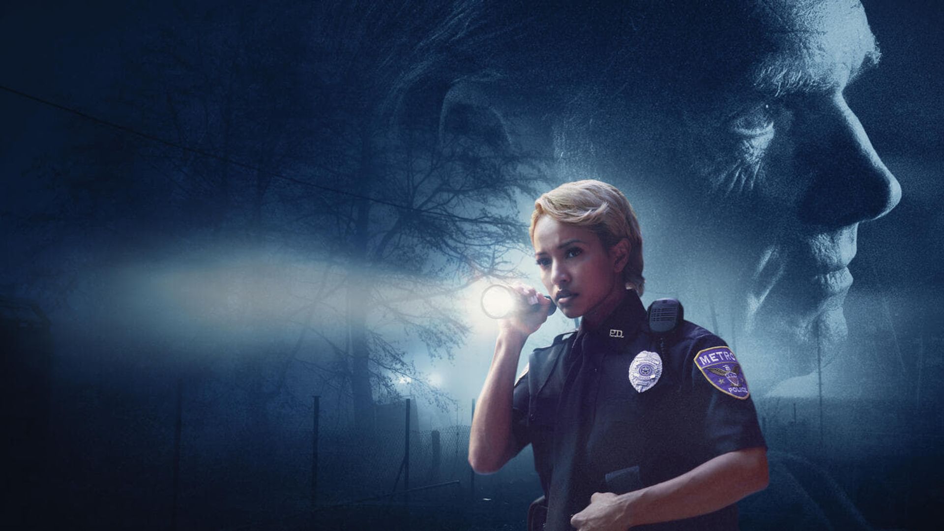 Searching for a Serial Killer: The Regina Smith Story background
