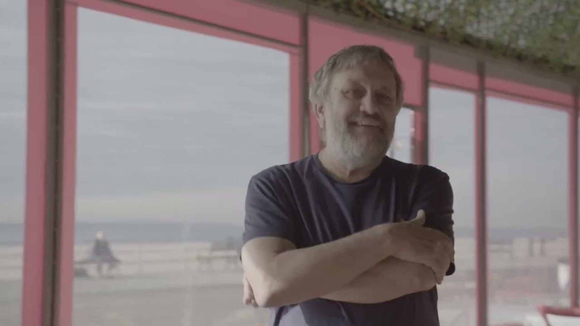 Unexpurgated: Slavoj Zizek background