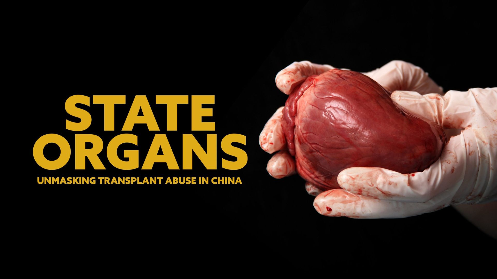 State Organs background