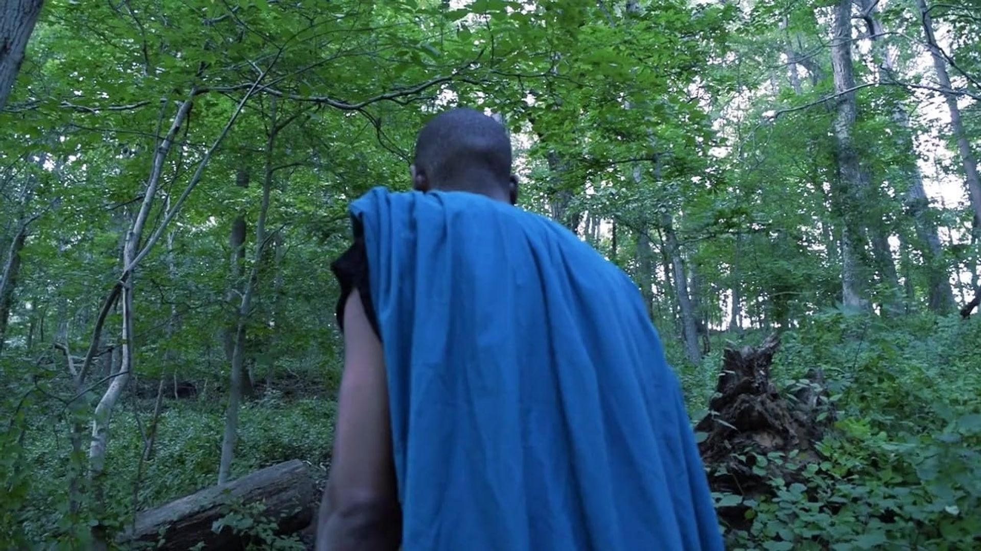 Troy: The Resurrection of Aeneas background