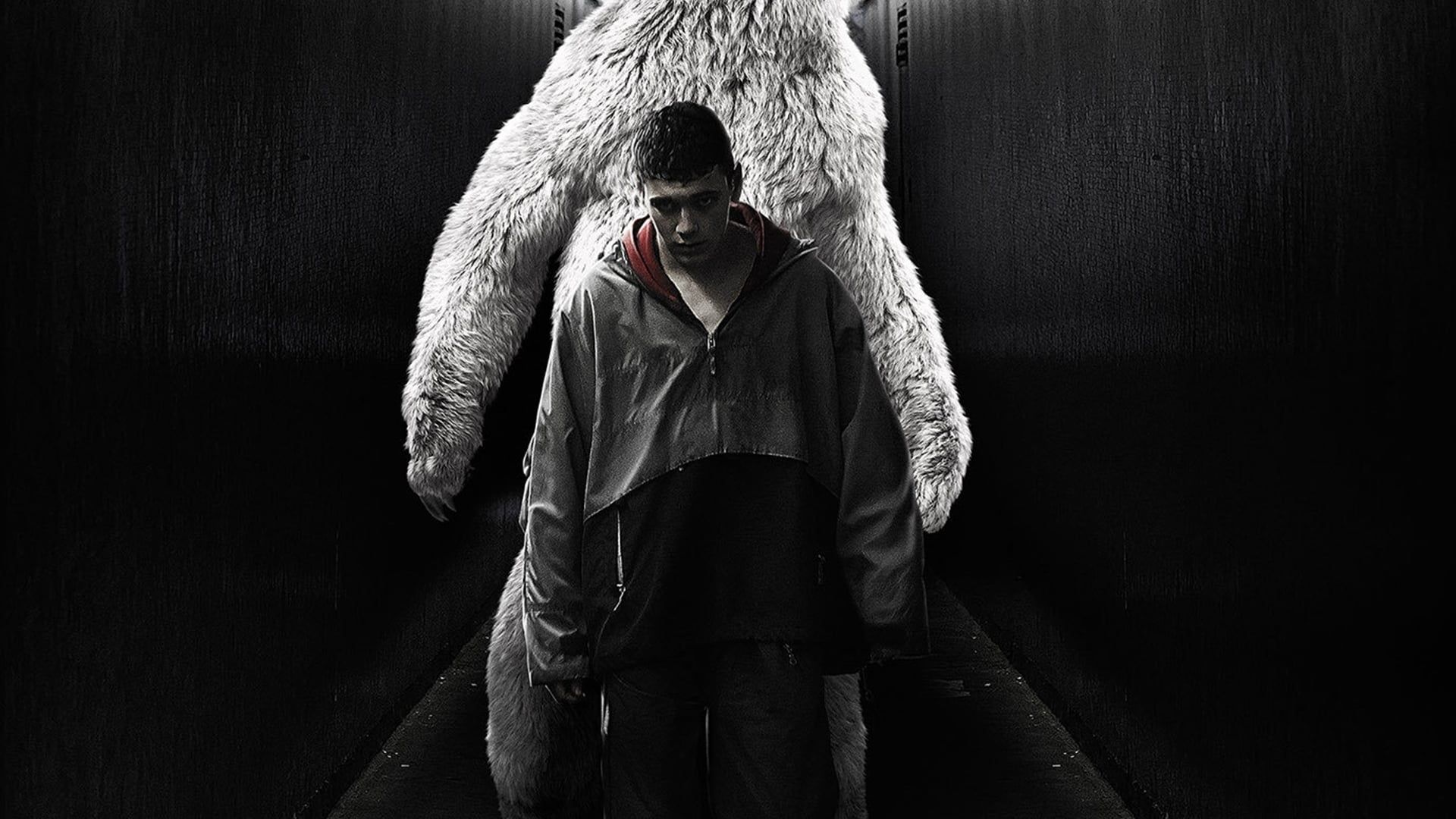 Polar Bear background