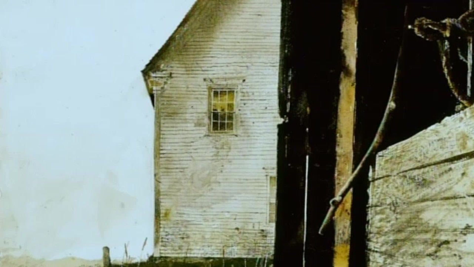 Michael Palin in Wyeth's World background