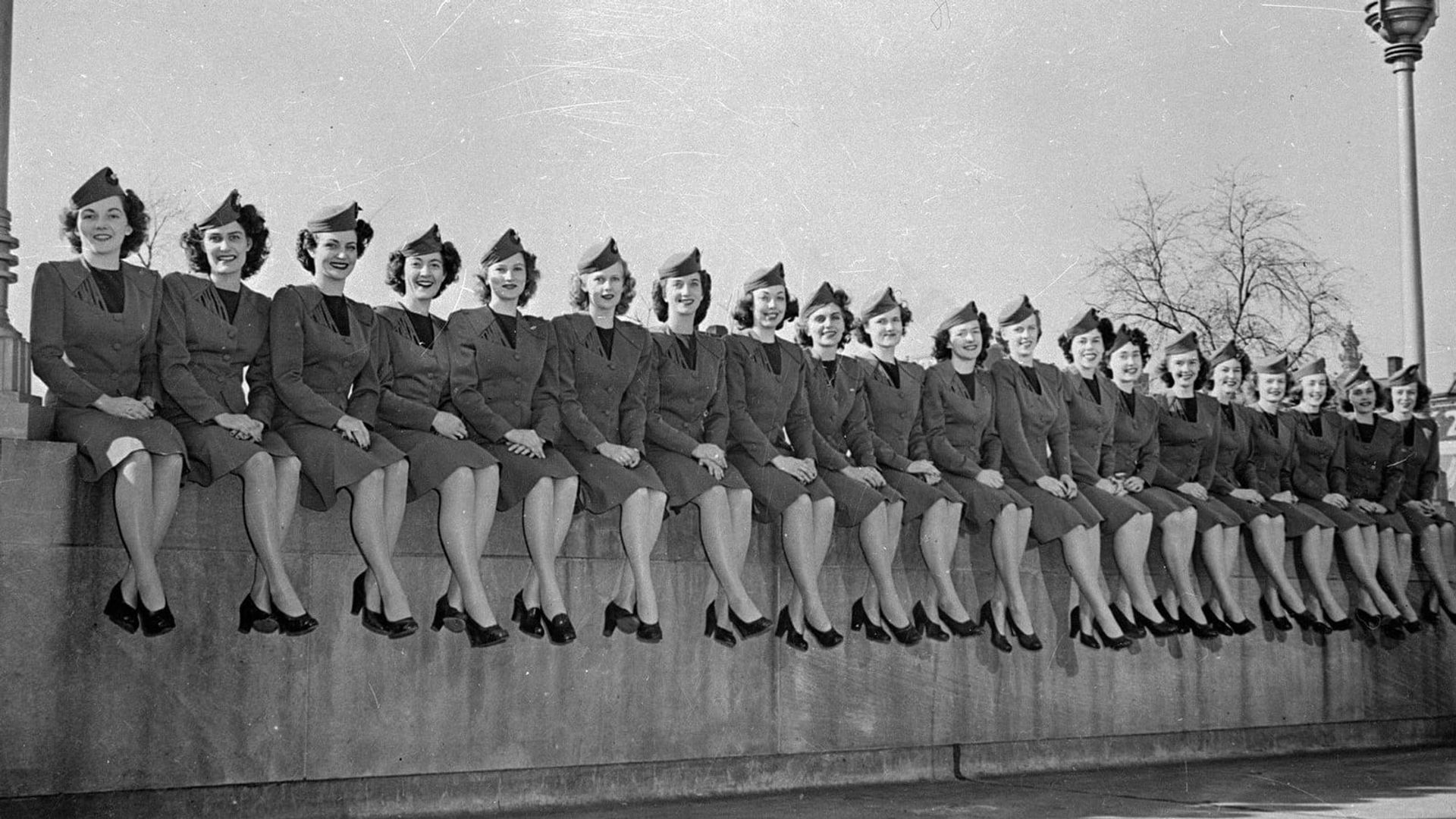 Flying Stewardess background