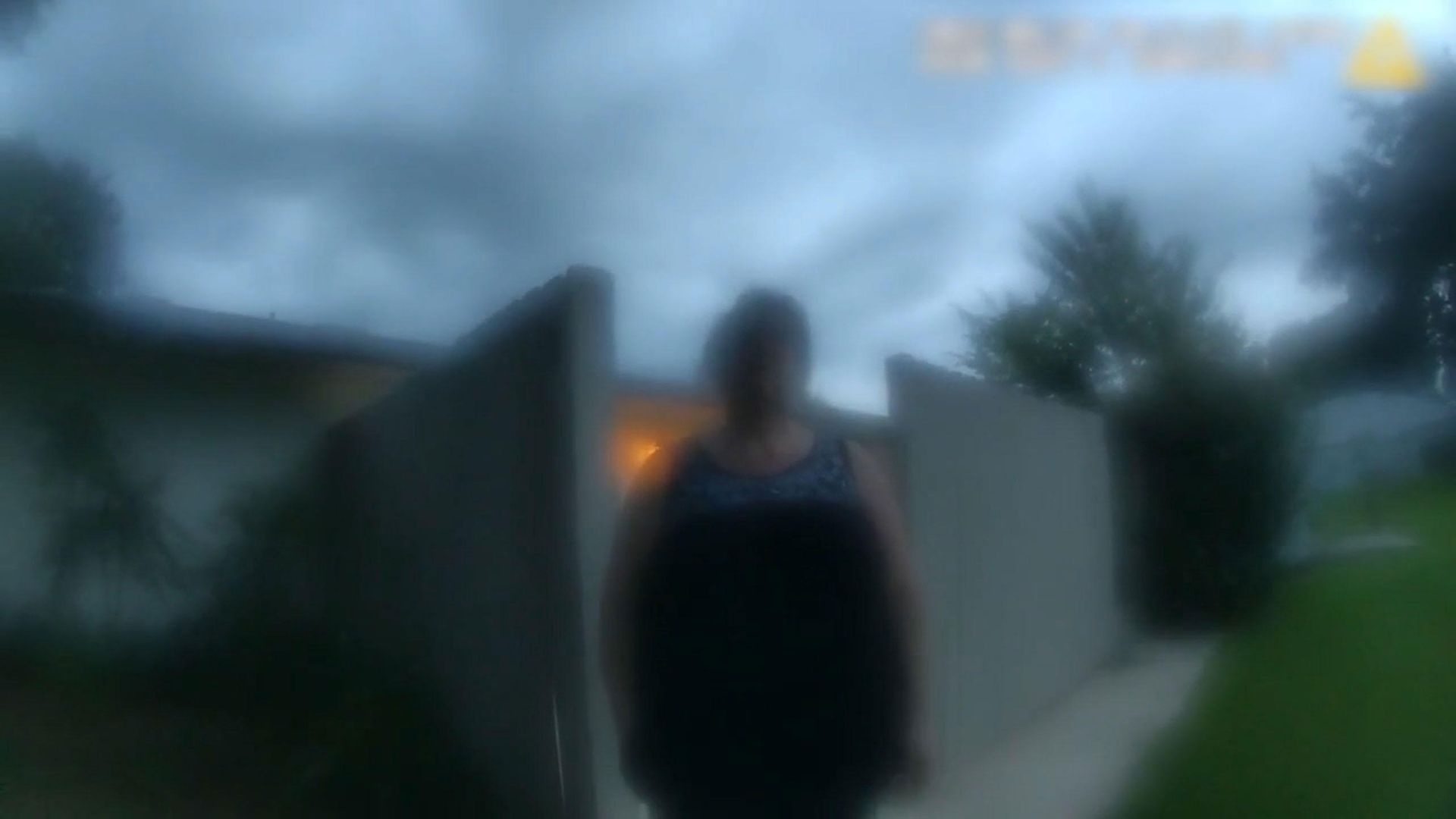 The Perfect Neighbor background