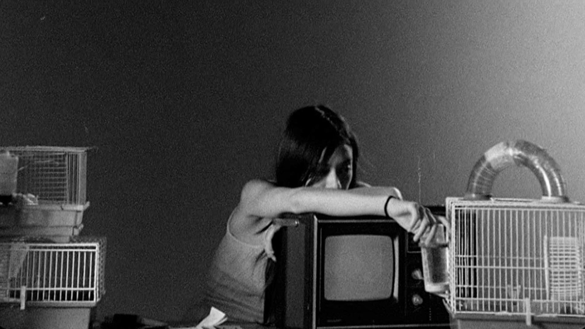 Letters to Paul Morrissey background
