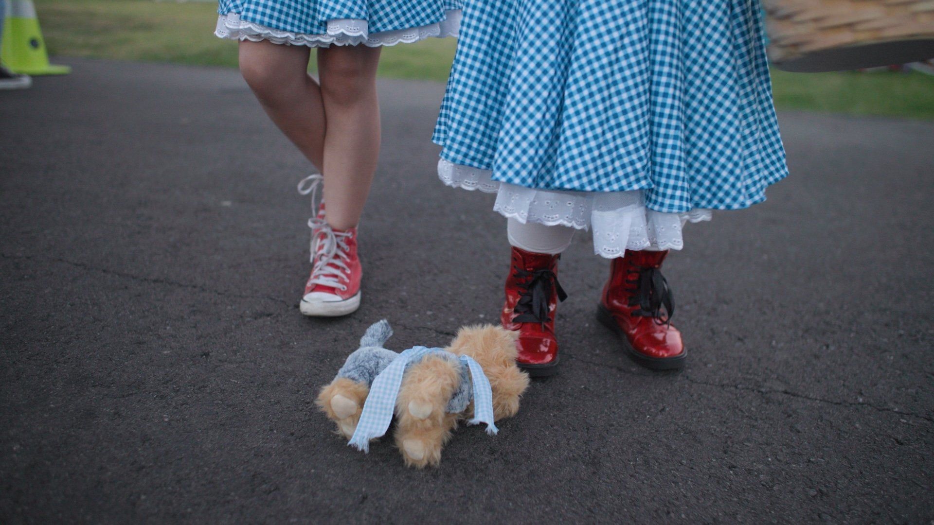 It's Dorothy! background