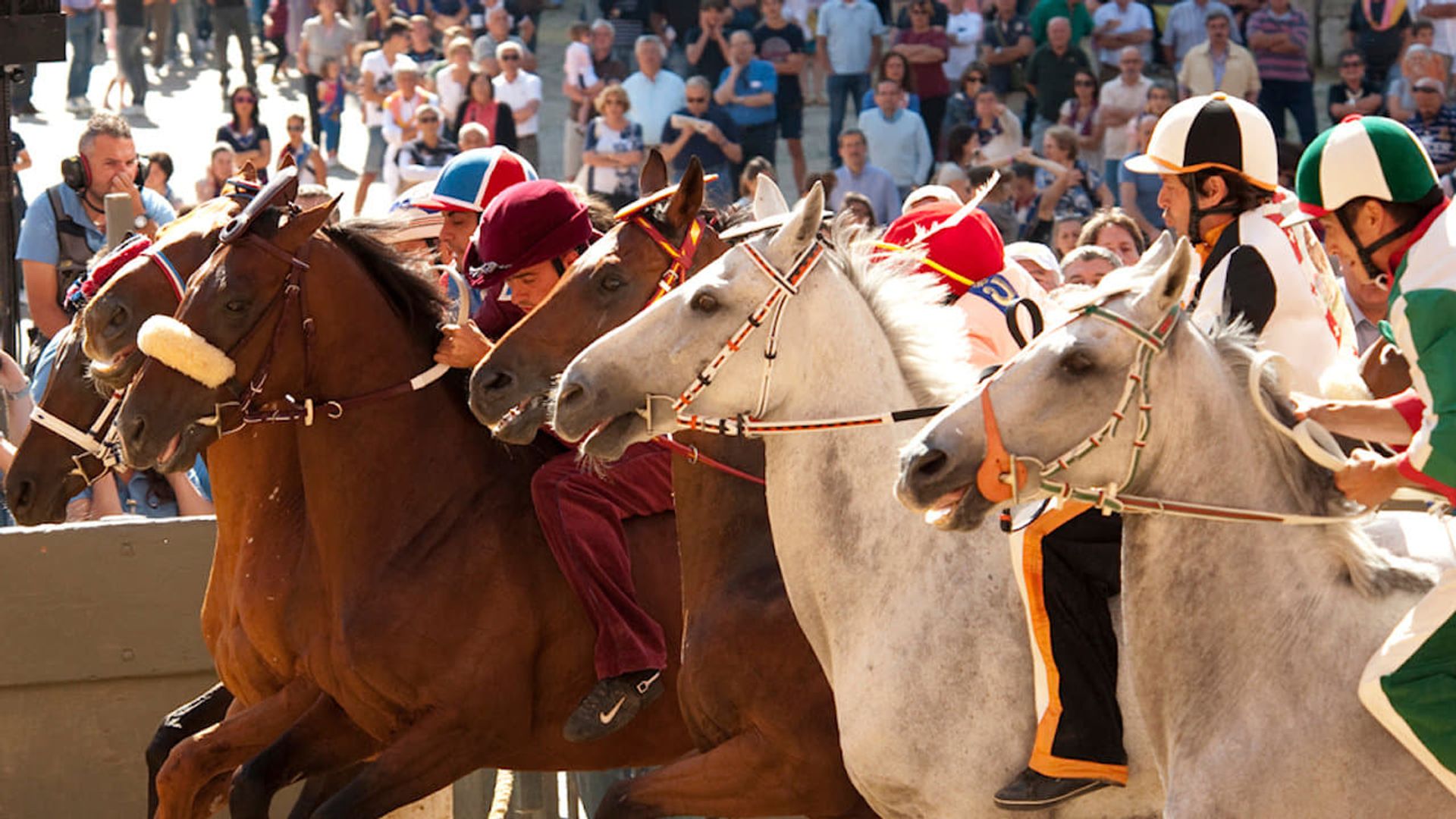 Palio background
