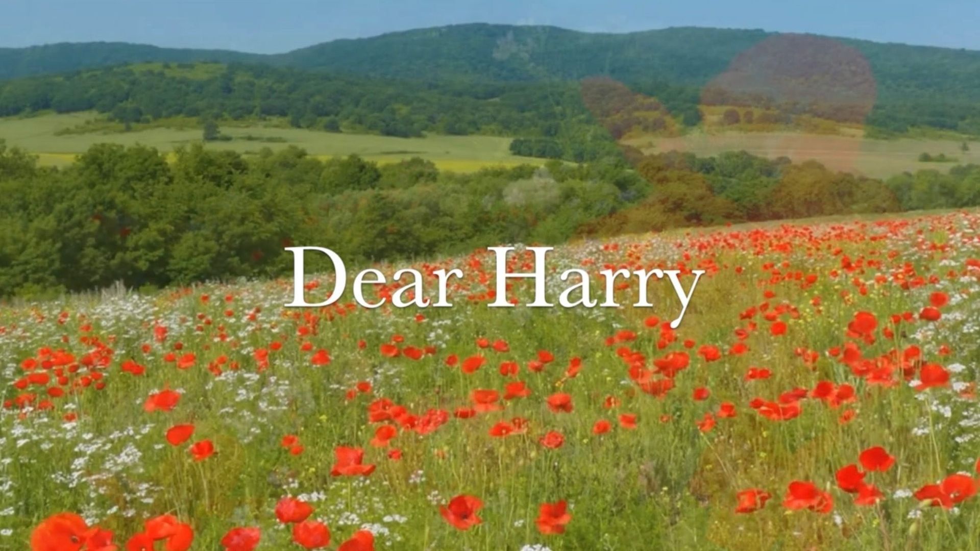 Dear Harry background