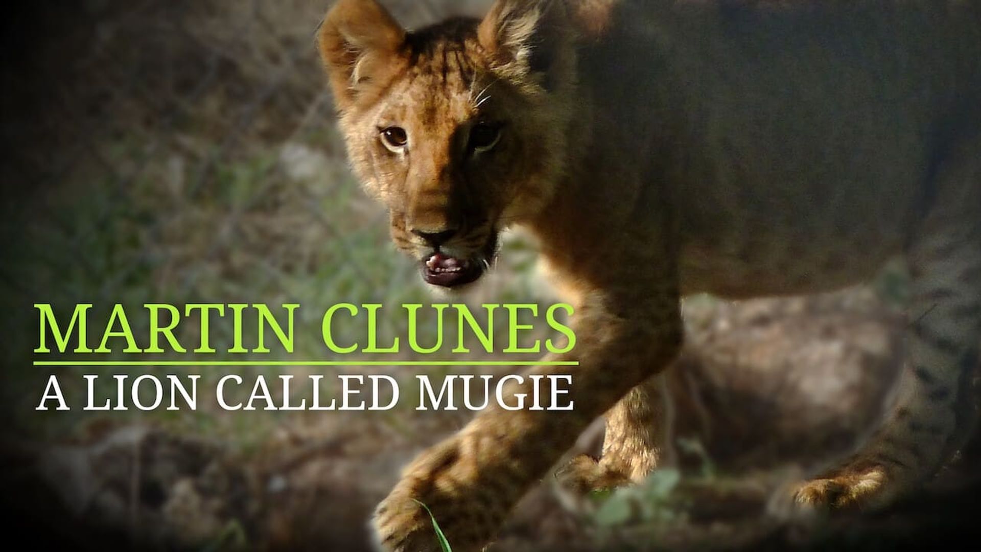 Martin Clunes & a Lion Called Mugie background
