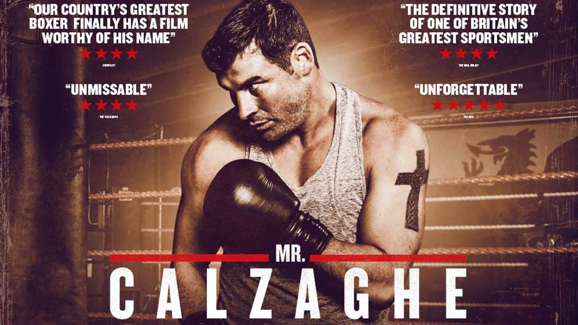 Mr Calzaghe background