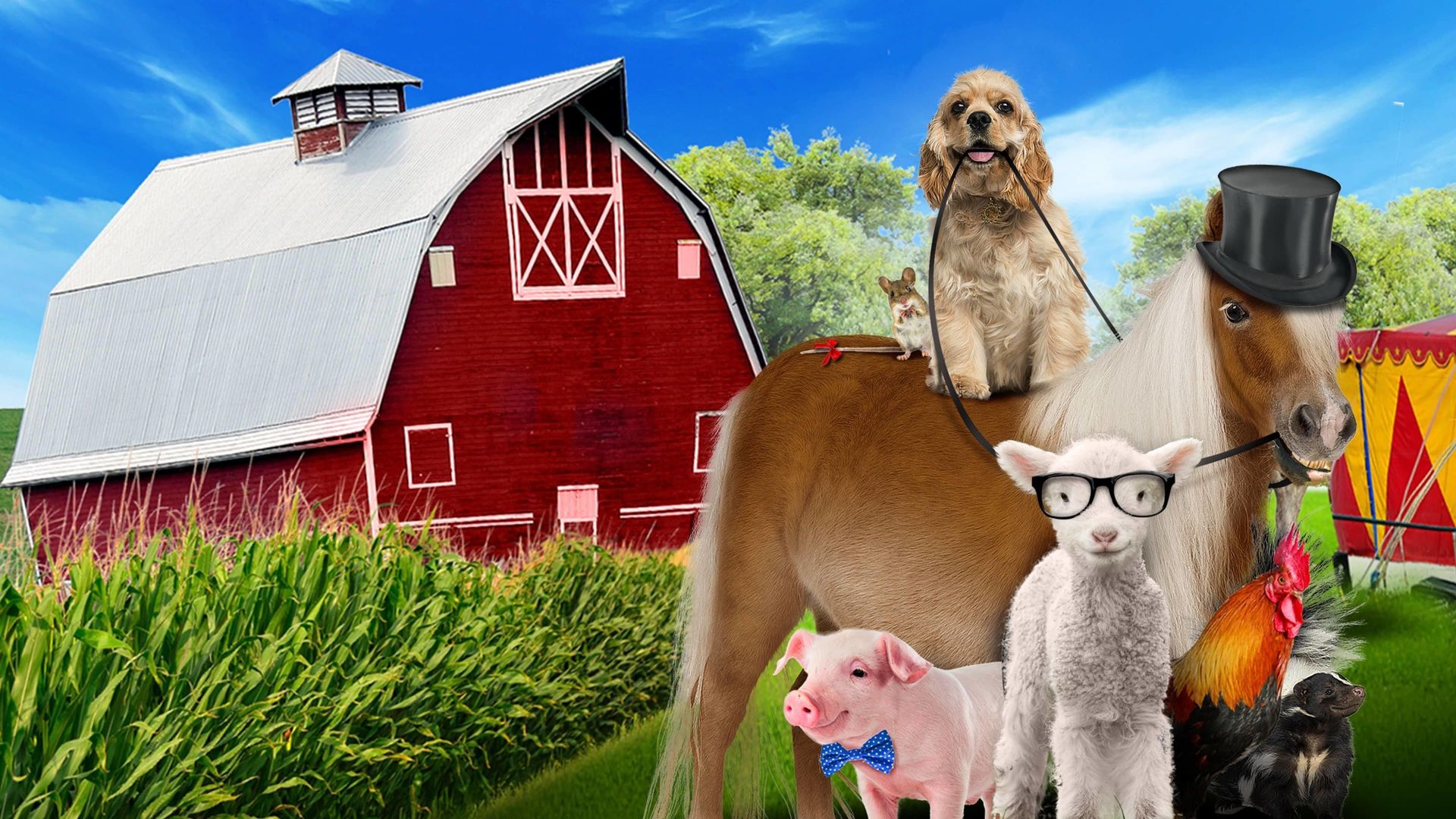 A Dog and Pony Show background