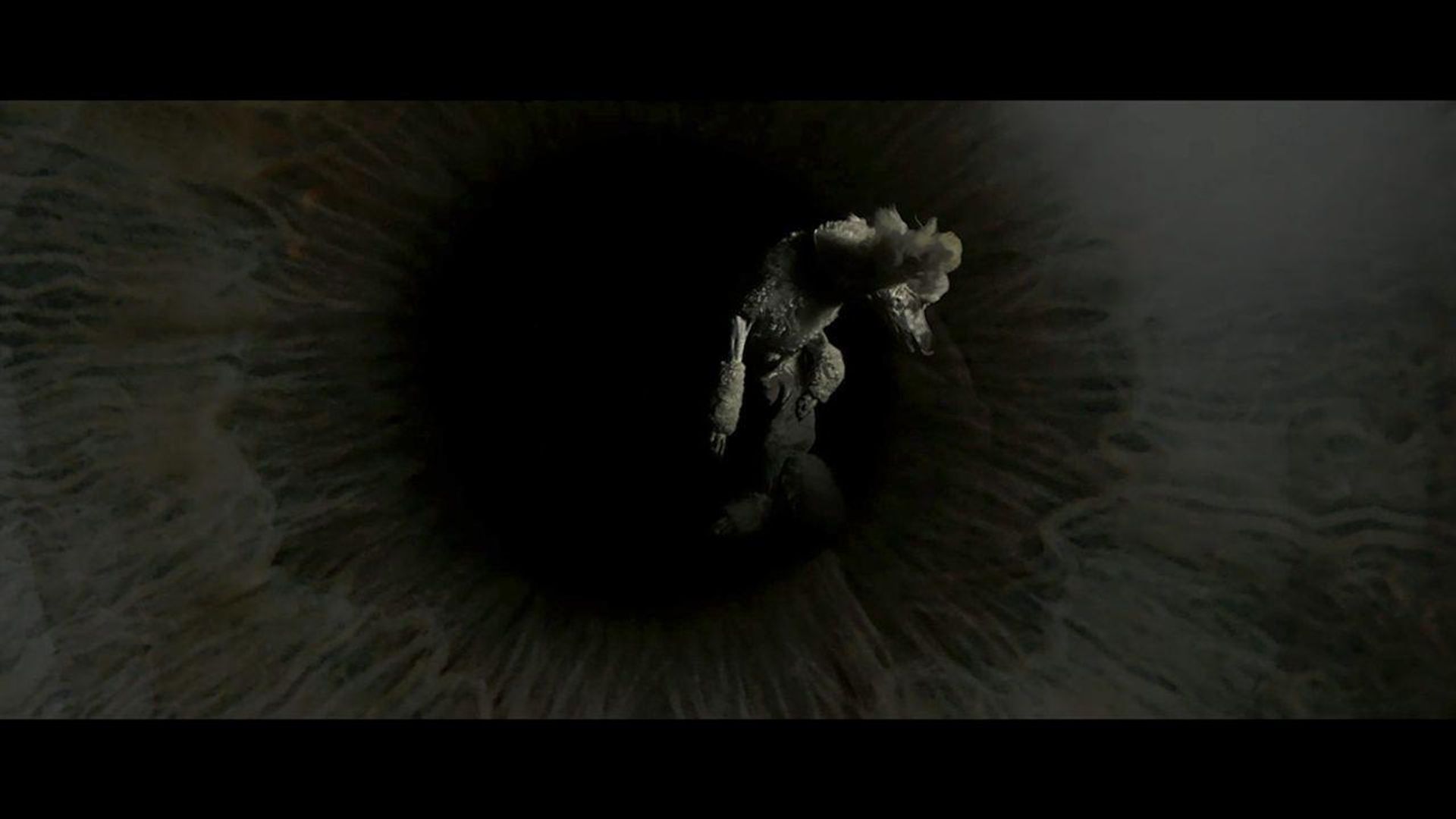 The Visit background
