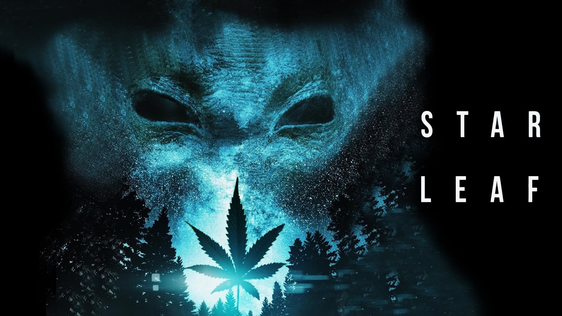 Star Leaf background