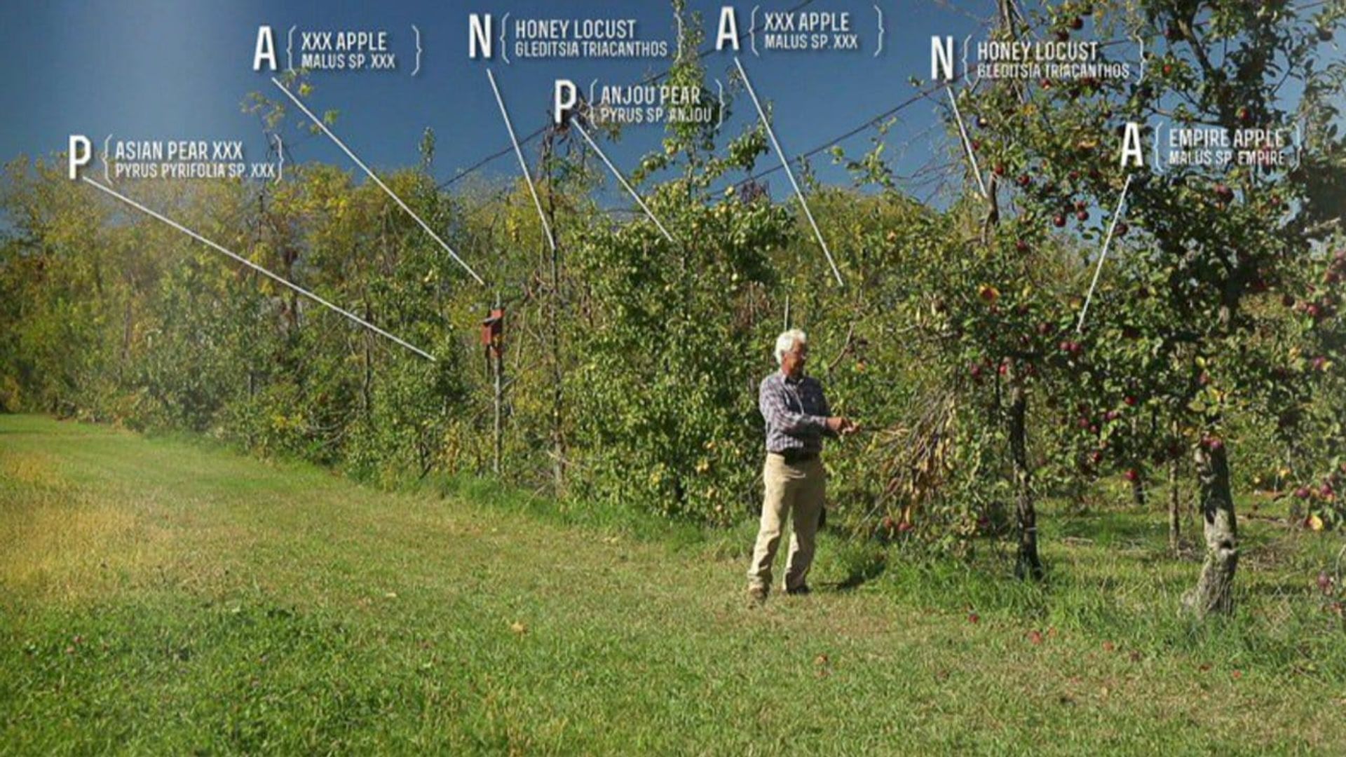 The Permaculture Orchard: Beyond Organic background