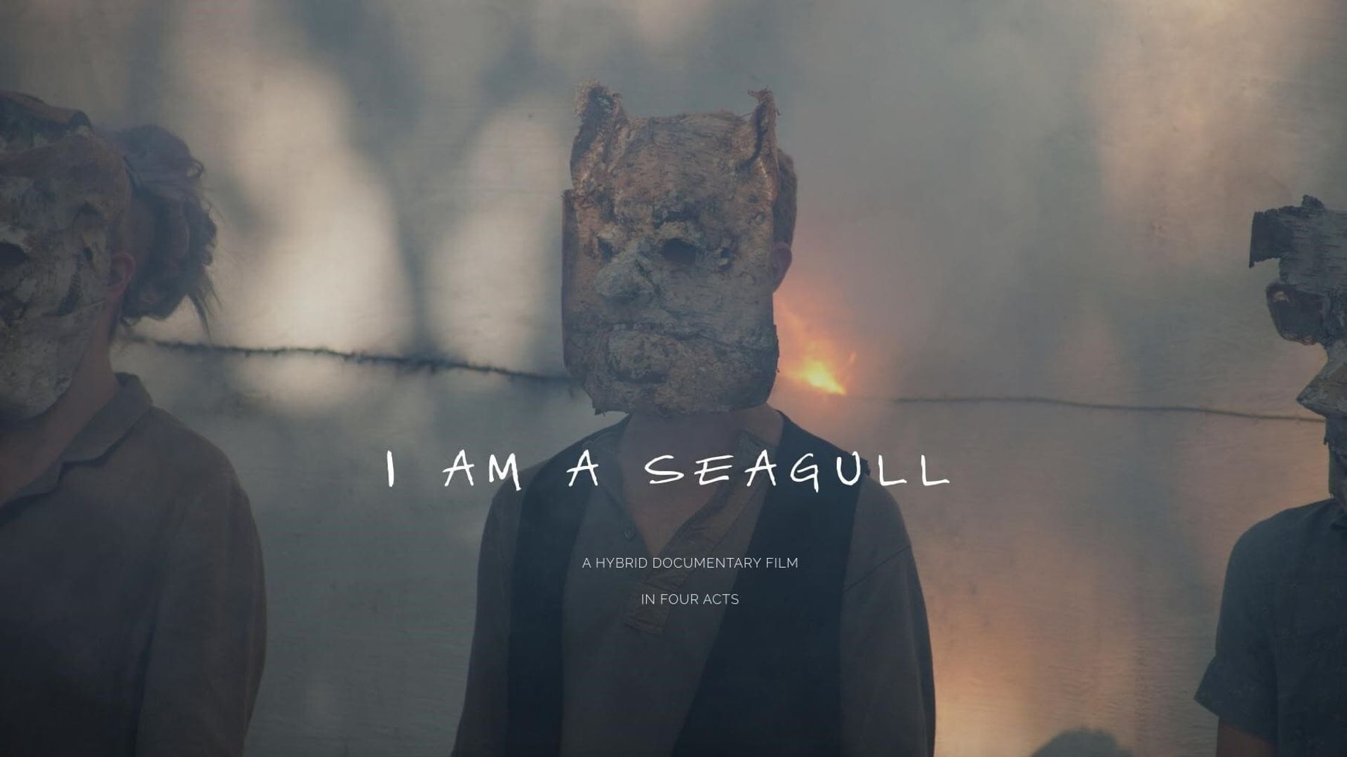 I Am a Seagull background
