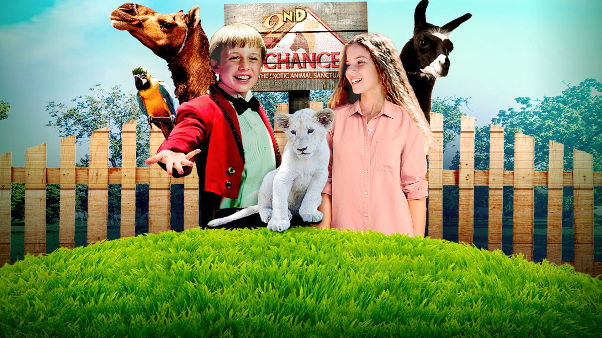 Jimmy's Jungle background