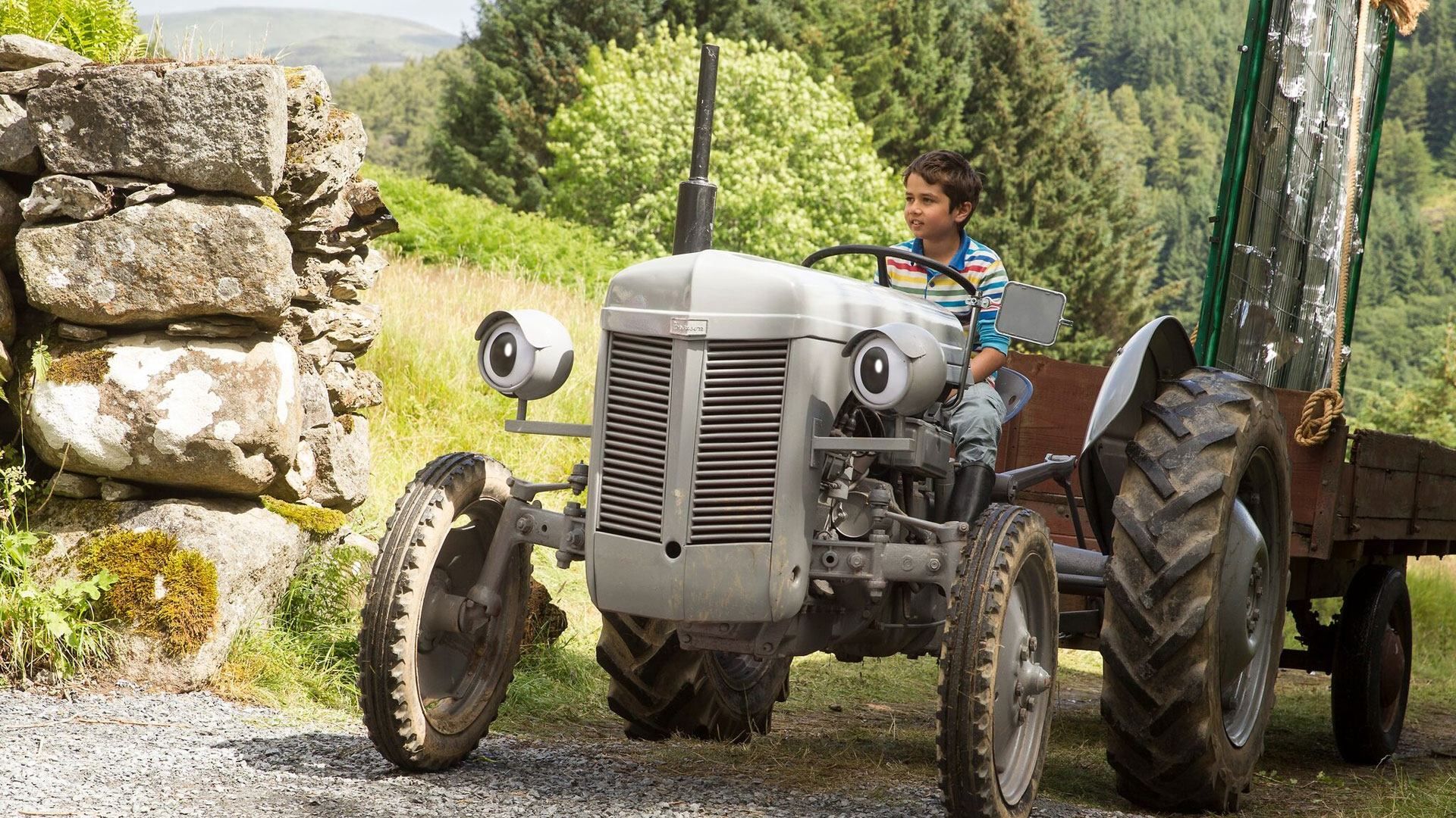 Little Grey Fergie Saves the Farm background