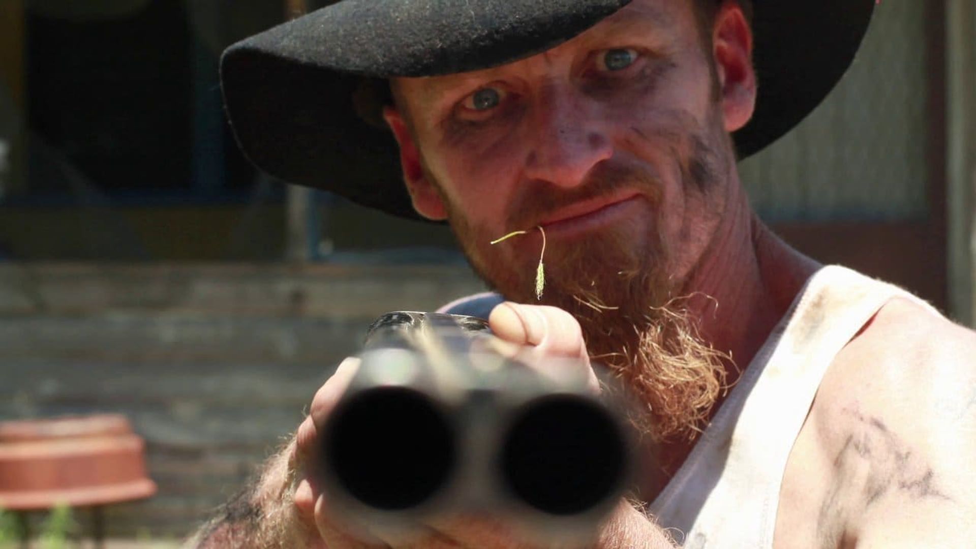 There's Something in the Pilliga background