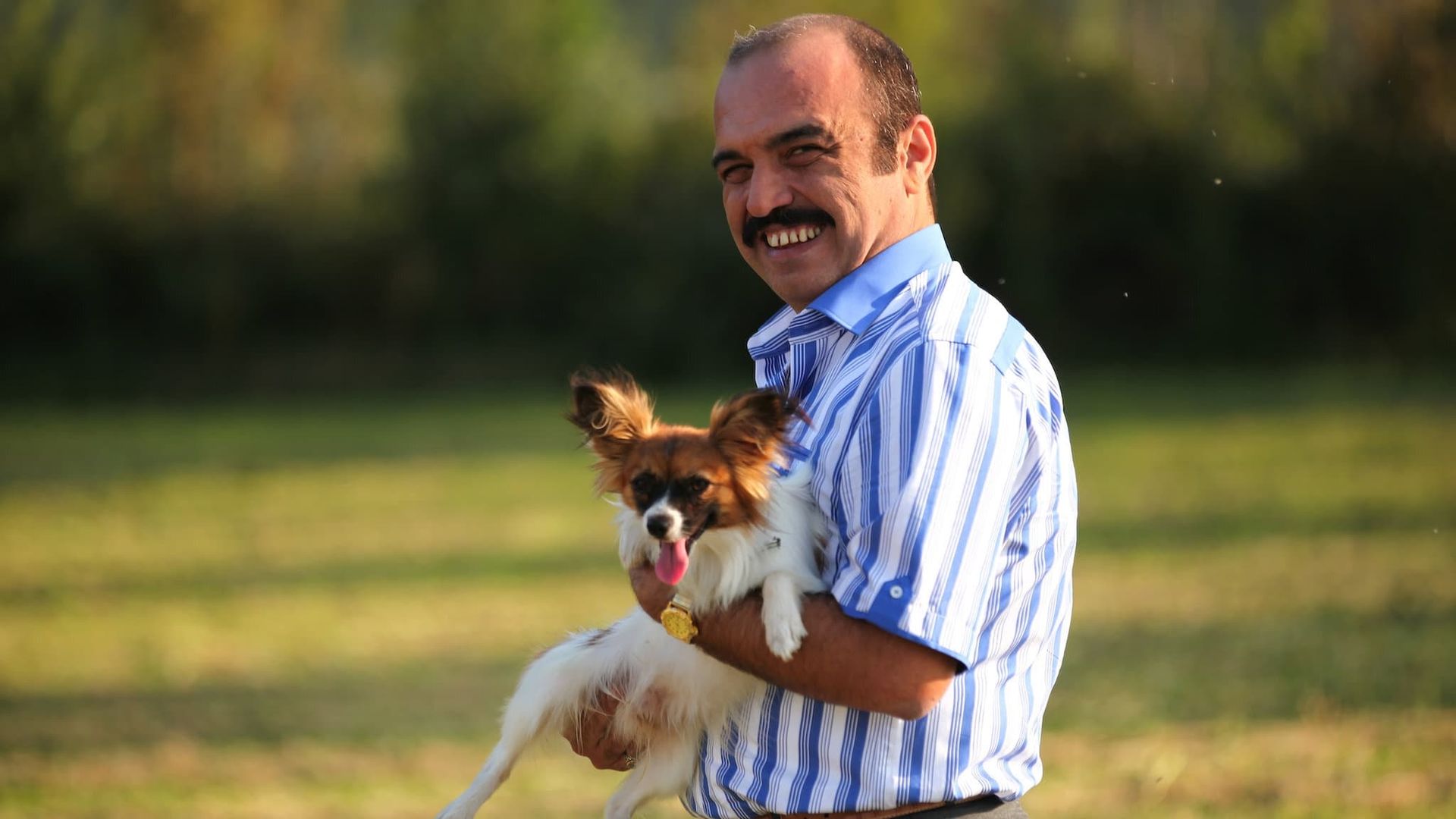 Çarsi Pazar background