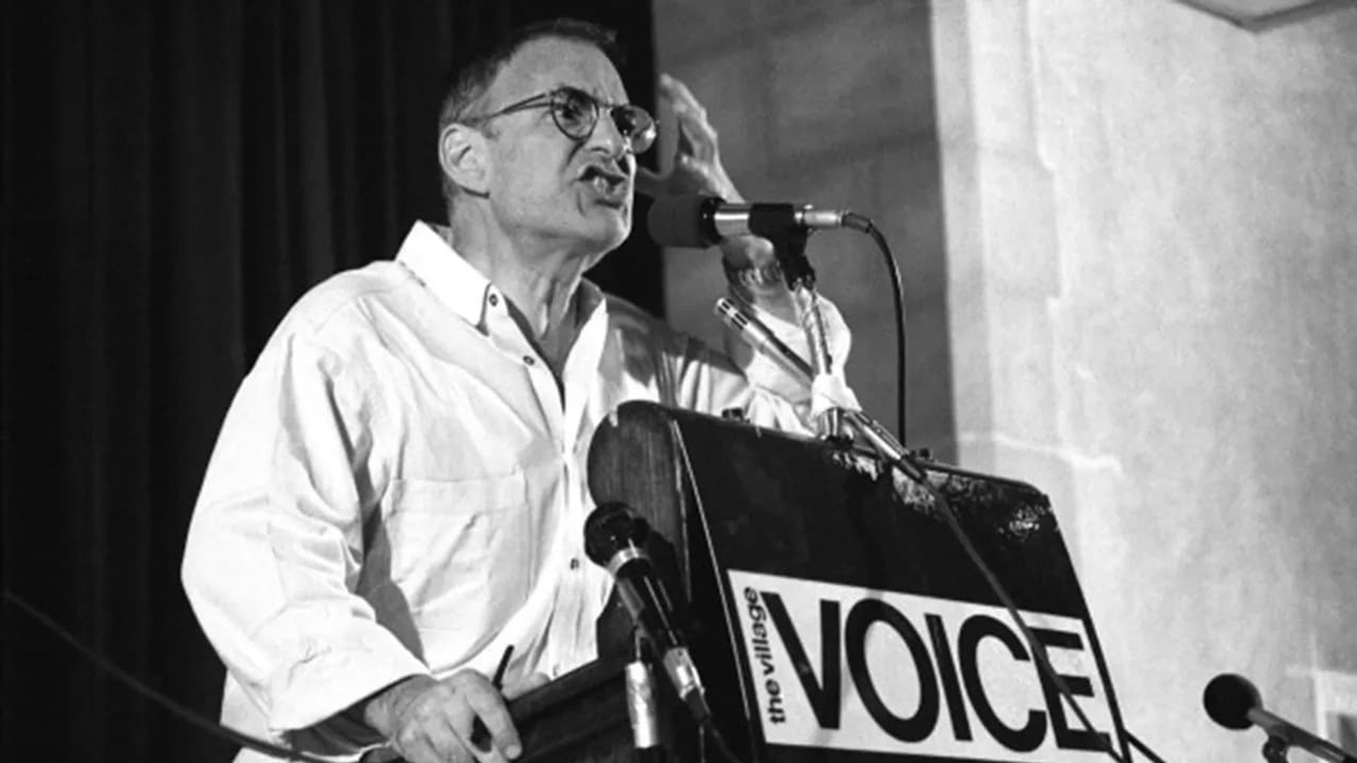 Larry Kramer in Love and Anger background