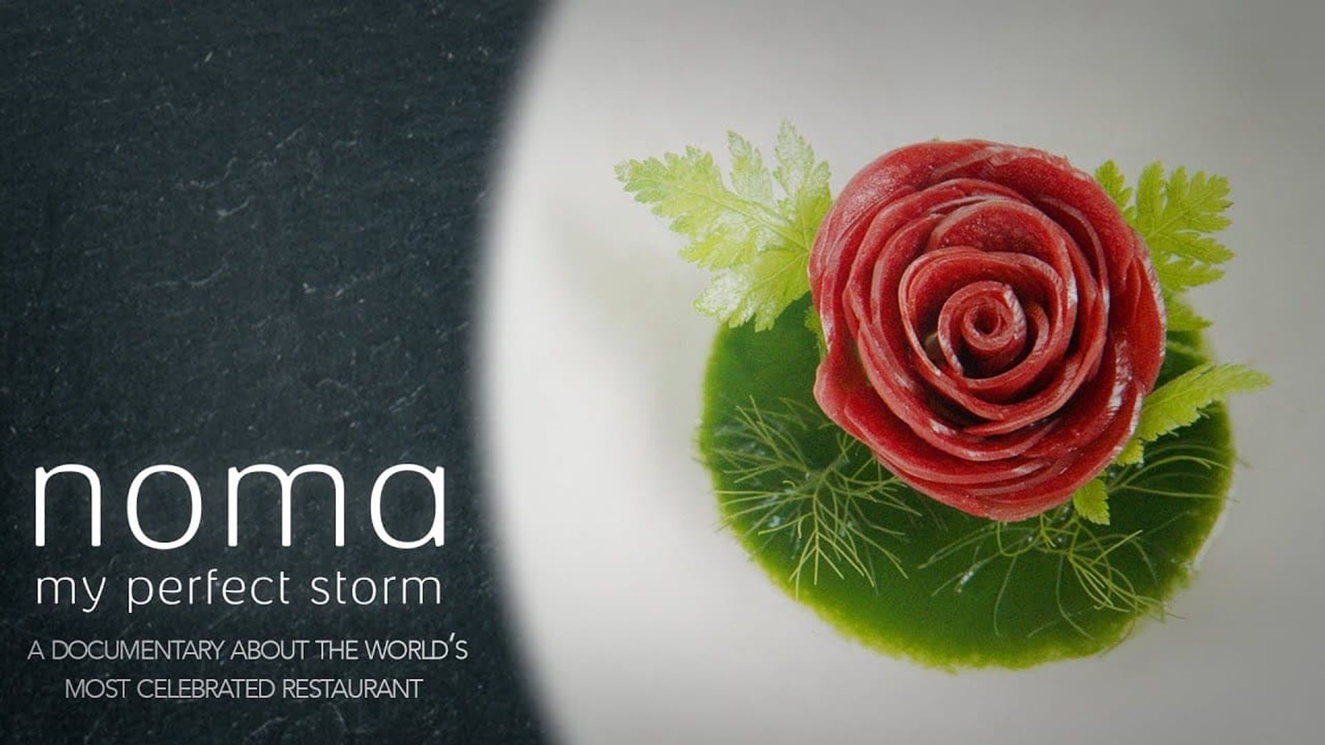 Noma: My Perfect Storm background