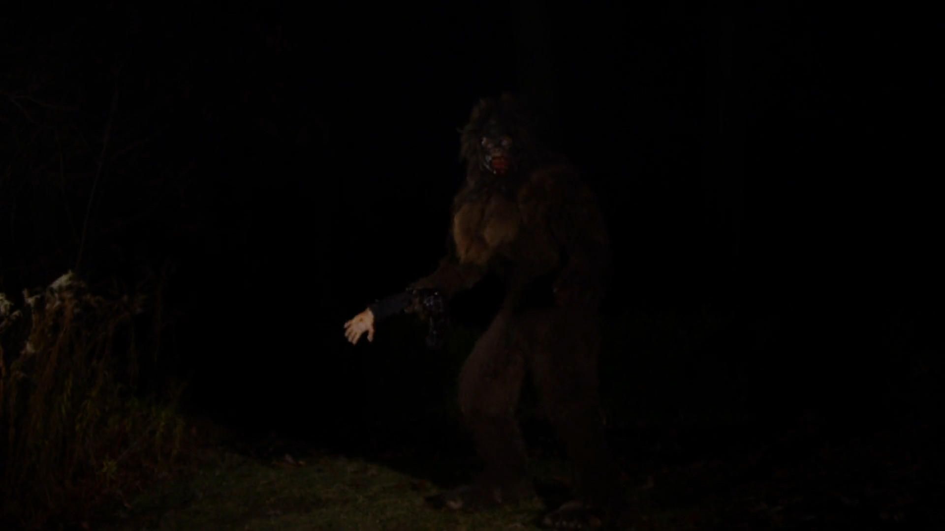 Bigfoot the Movie background