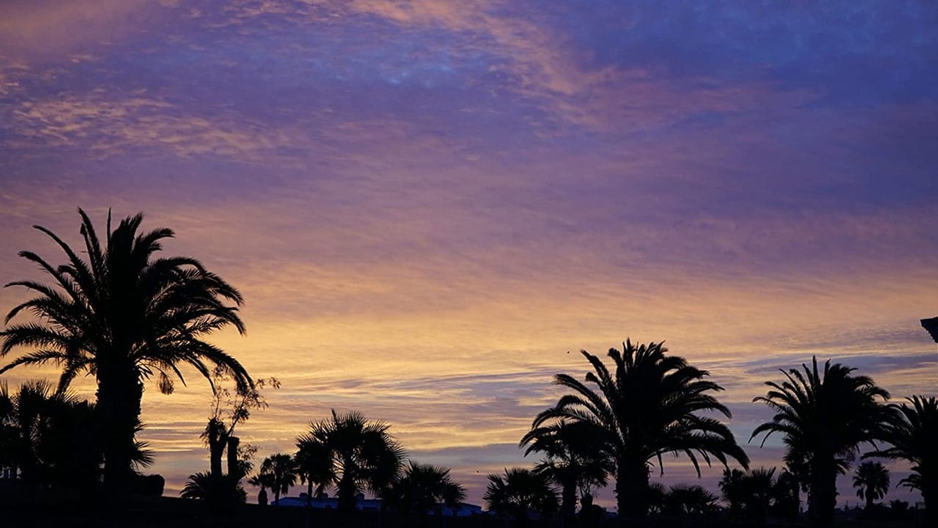 One Glorious Sunset background