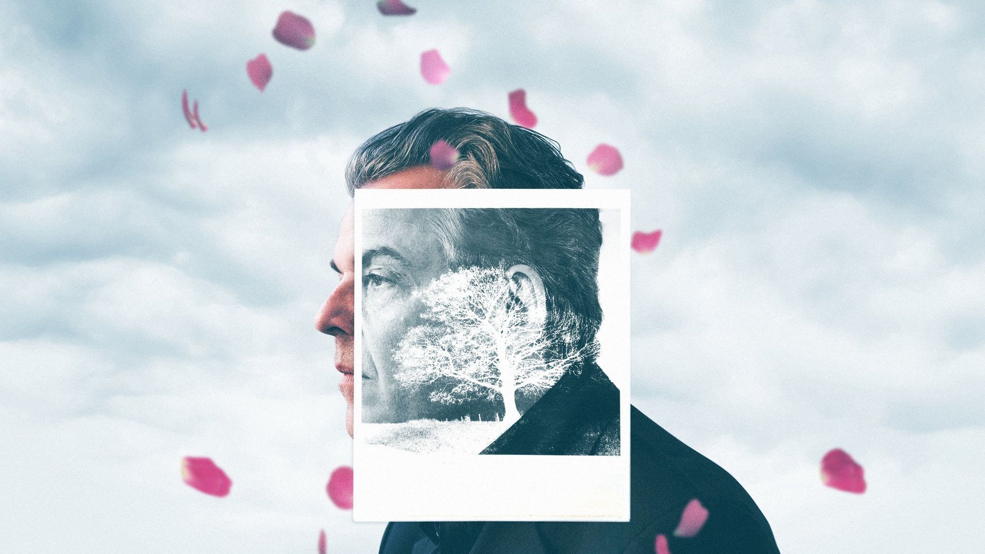 The Last Photograph background