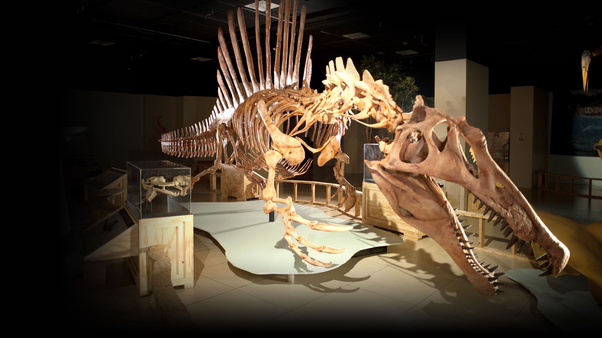 Top 10 Biggest Beasts Ever background