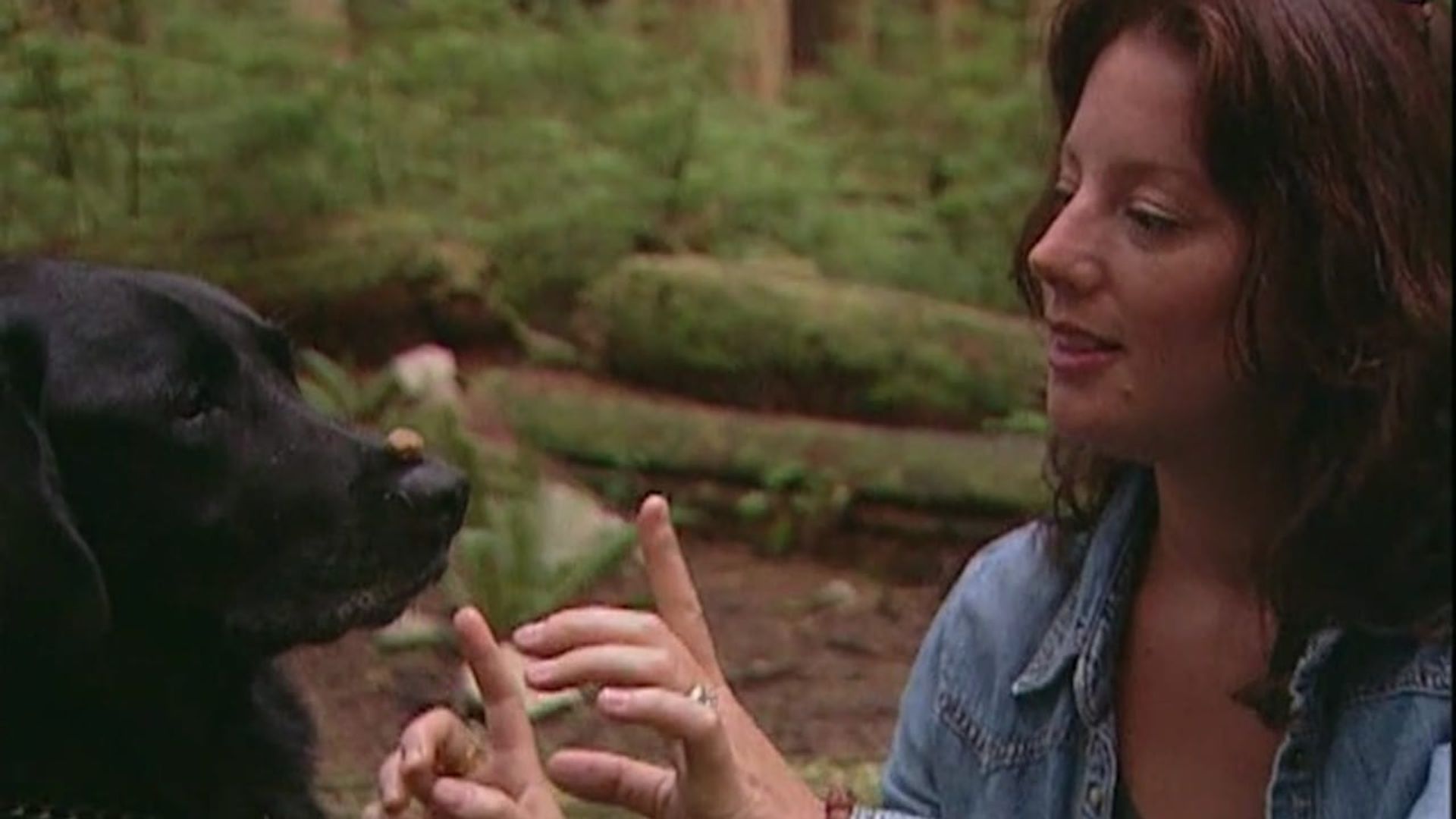 Sarah McLachlan: A Life of Music background