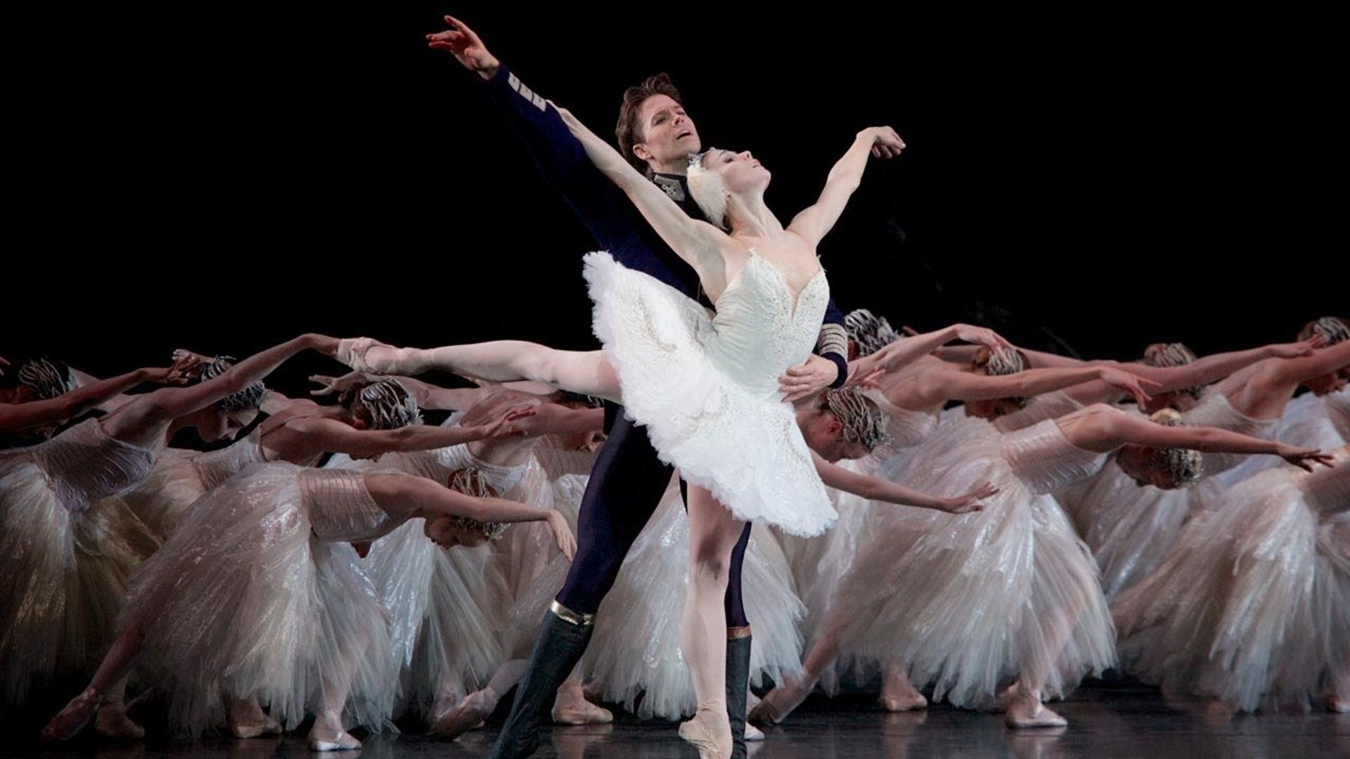 Swan Lake background