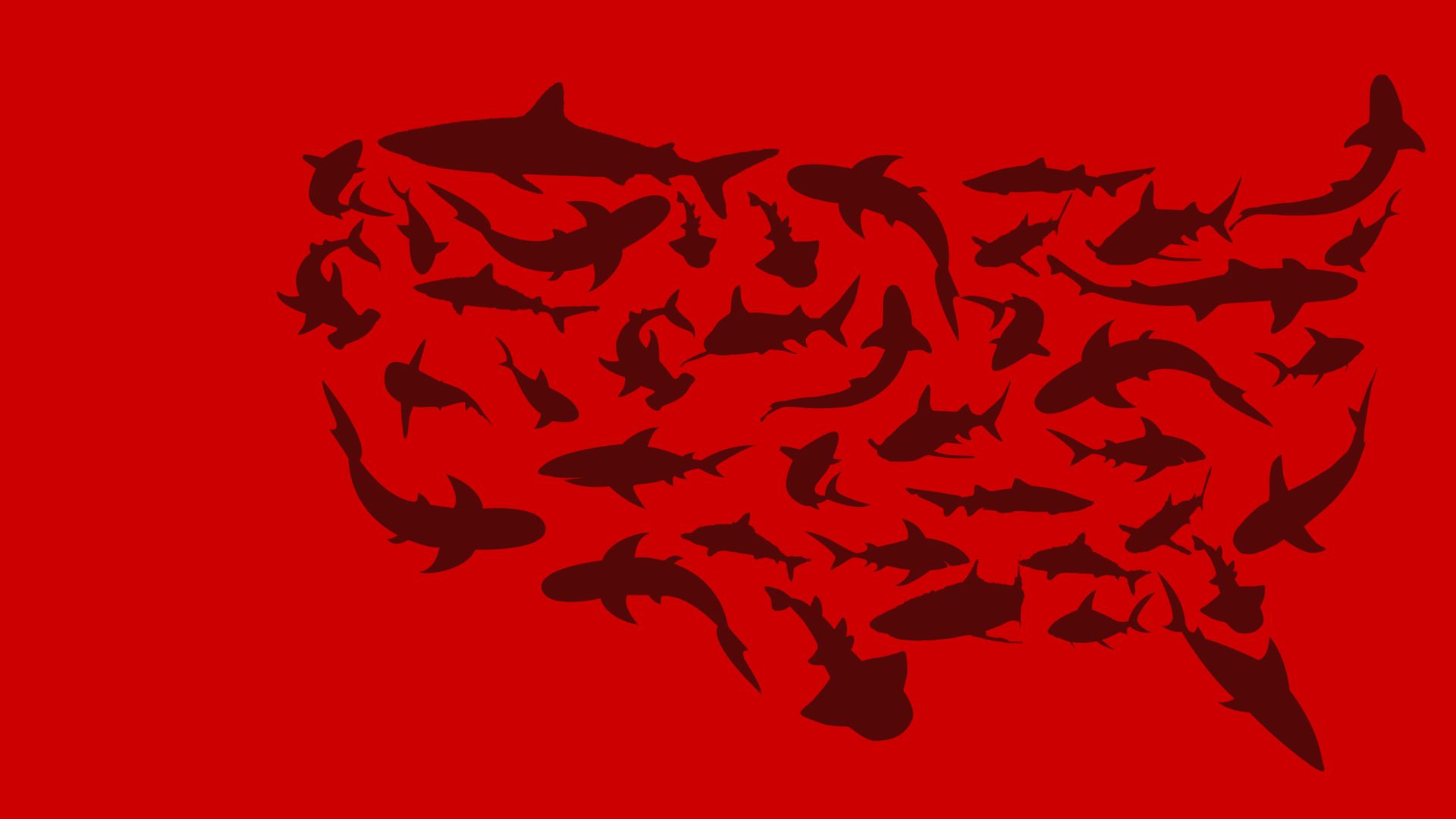 United Sharks of America background